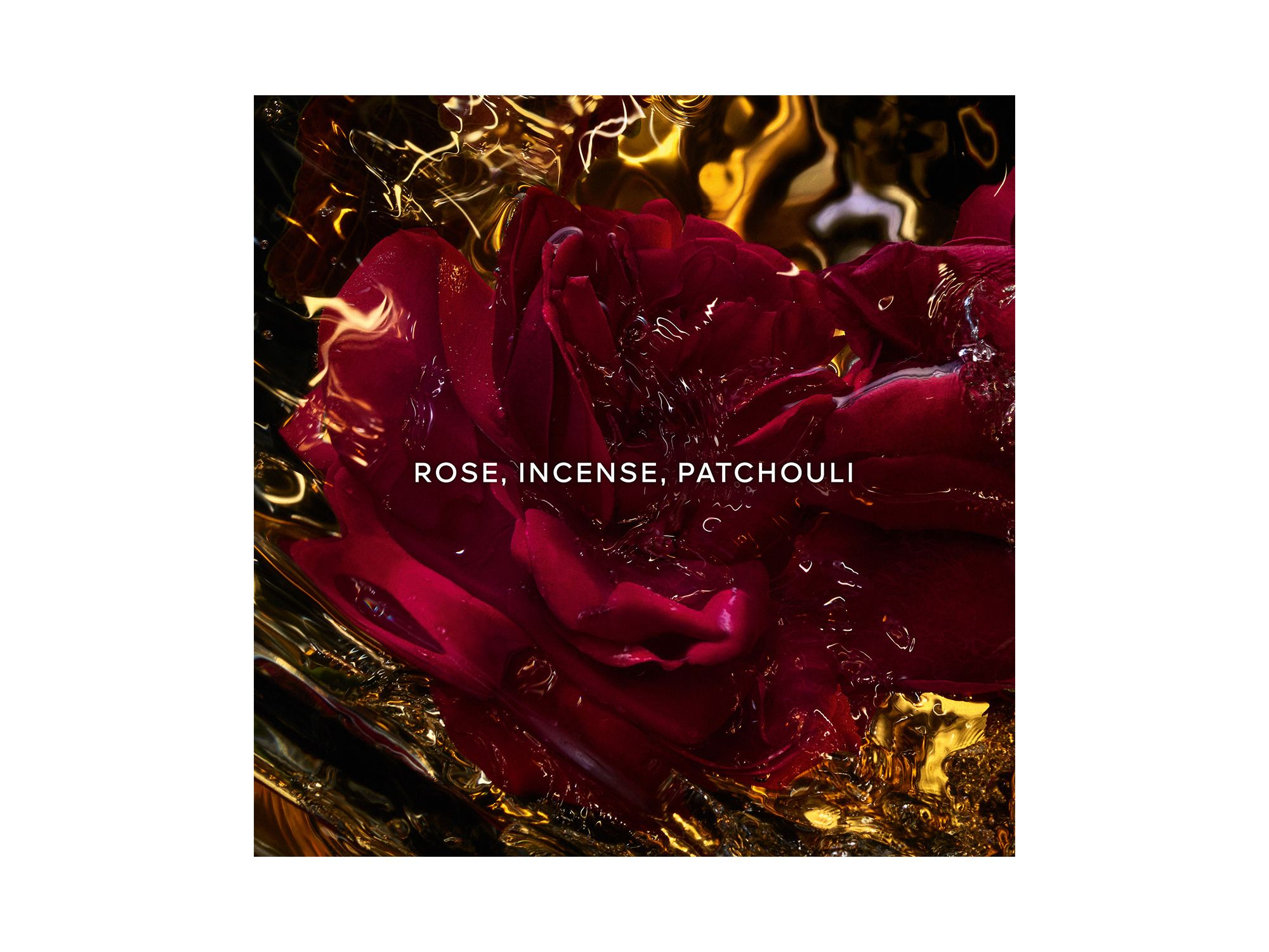 Absolus Allegoria Rose Amira Eau de Parfum 4.2 oz. — Image 7