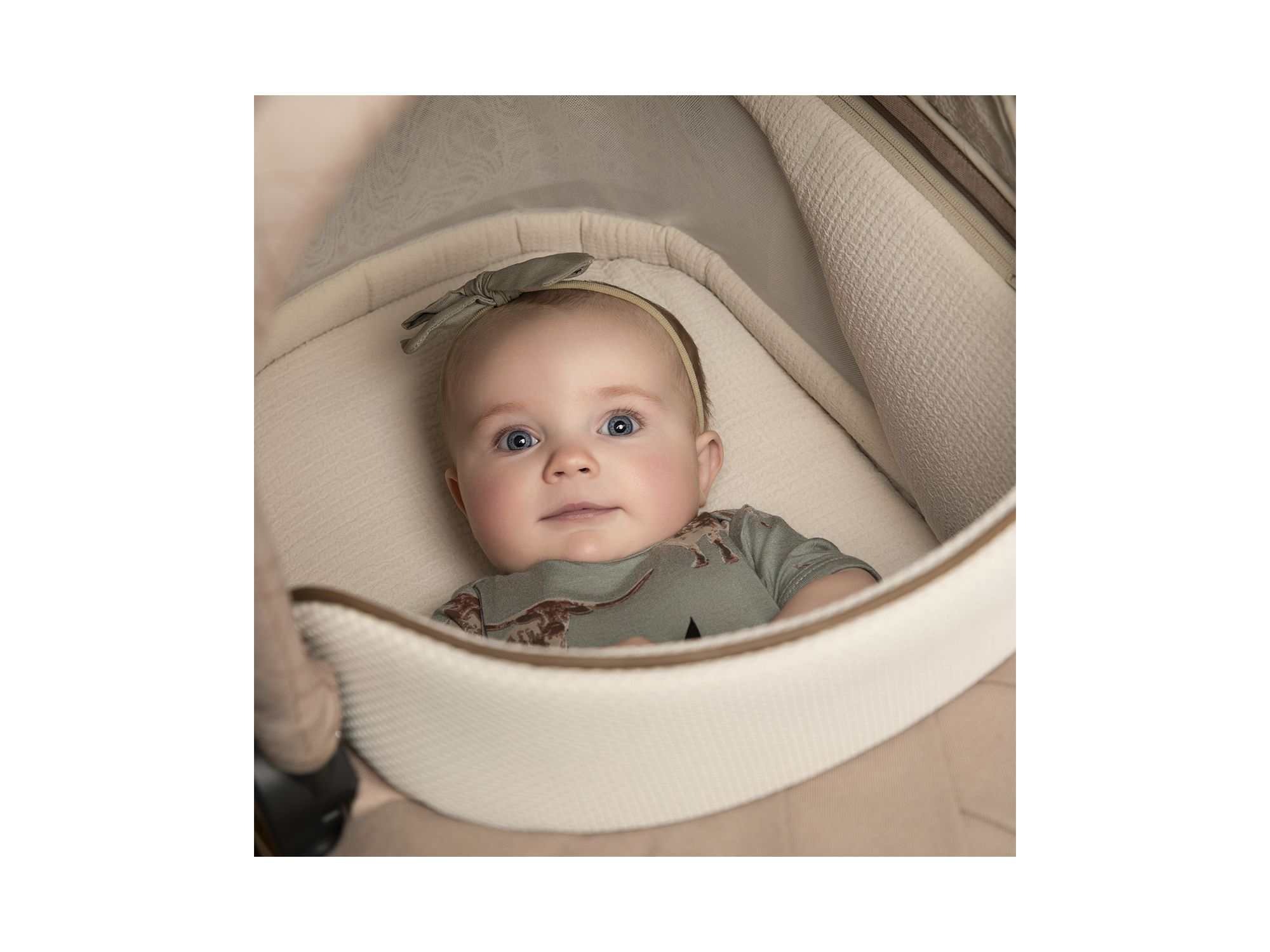 Carriage Accessory — Image 8