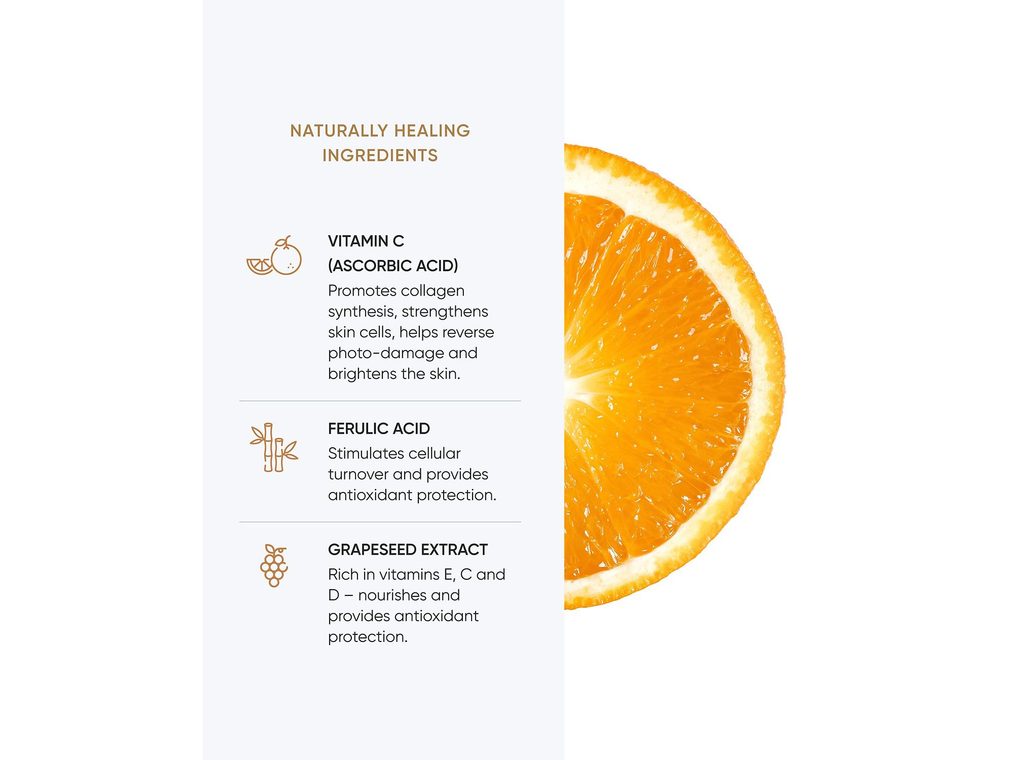 Vitamin C Serum 1 oz. — Image 5