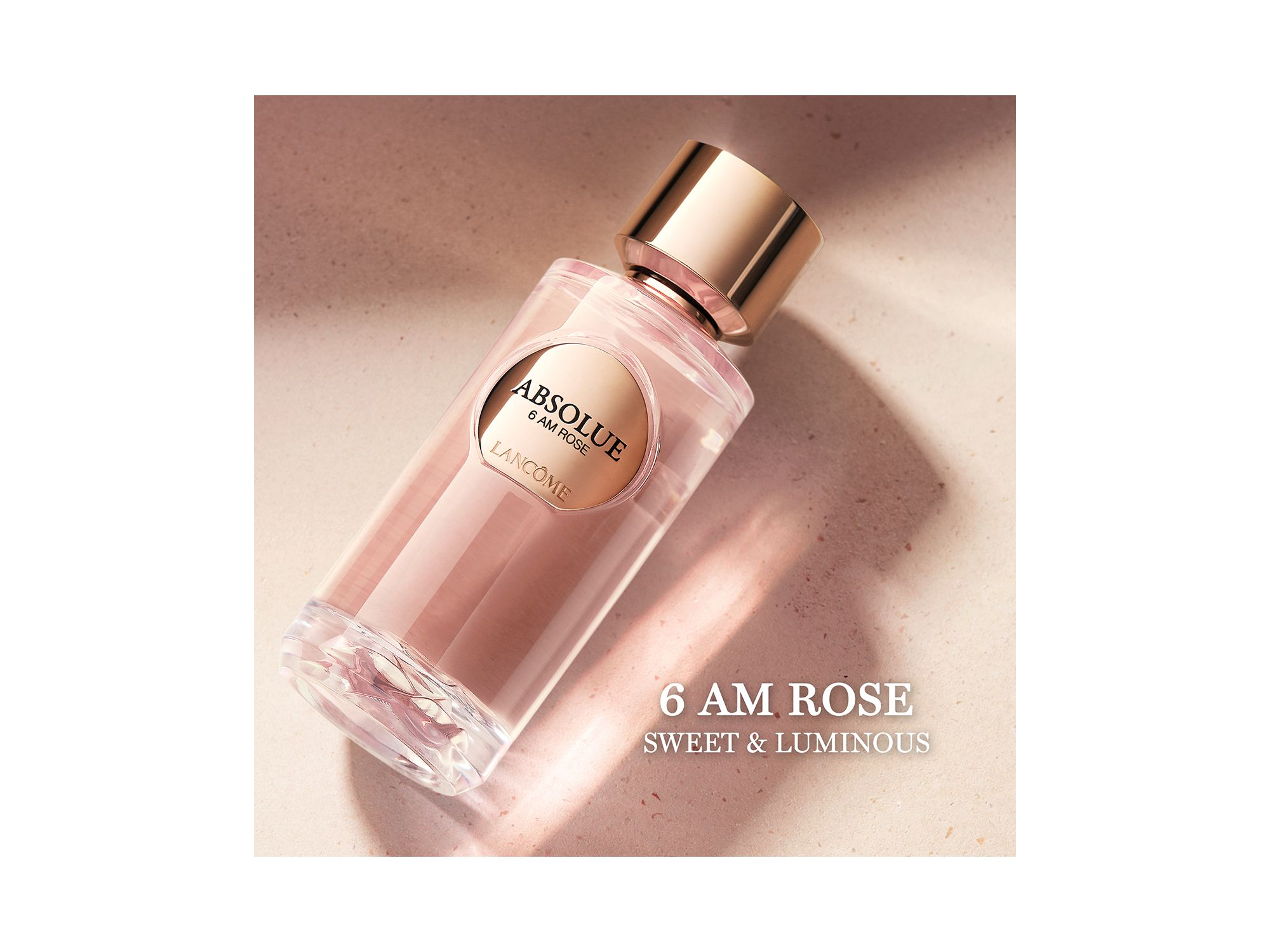 Absolue 6 AM Rose Eau de Parfum 3.4 oz. — Image 4