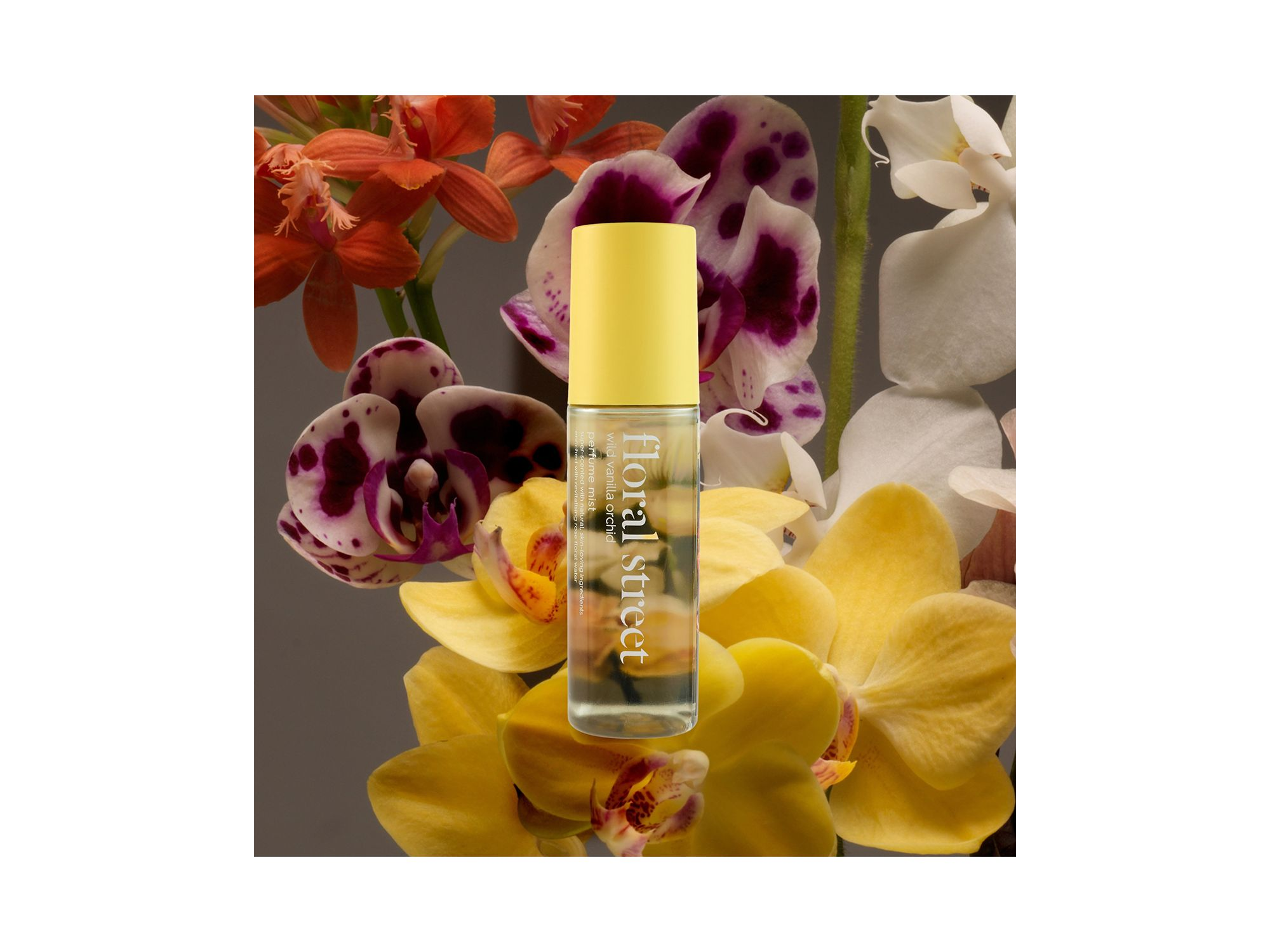 Wild Vanilla Orchid Perfume Mist 4.2 oz. — Image 3