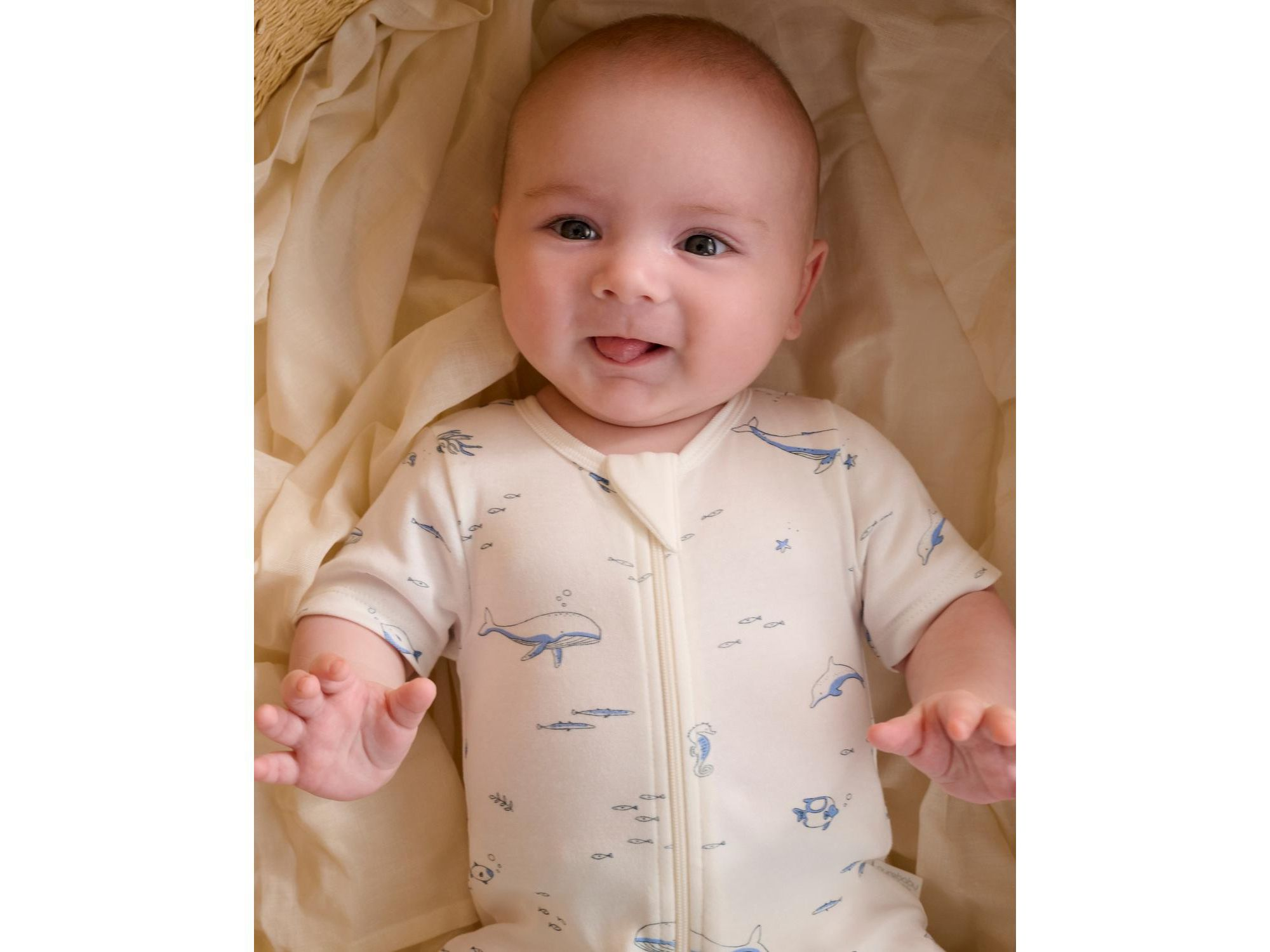 Boys' 2 Pack Short Zip Romper - Baby — Image 6