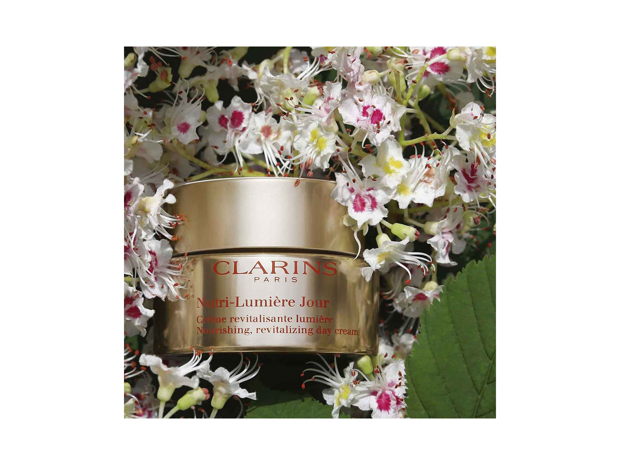 Nutri-Lumiere Anti-Aging & Nourishing Day Moisturizer 1.6 oz. — Image 4