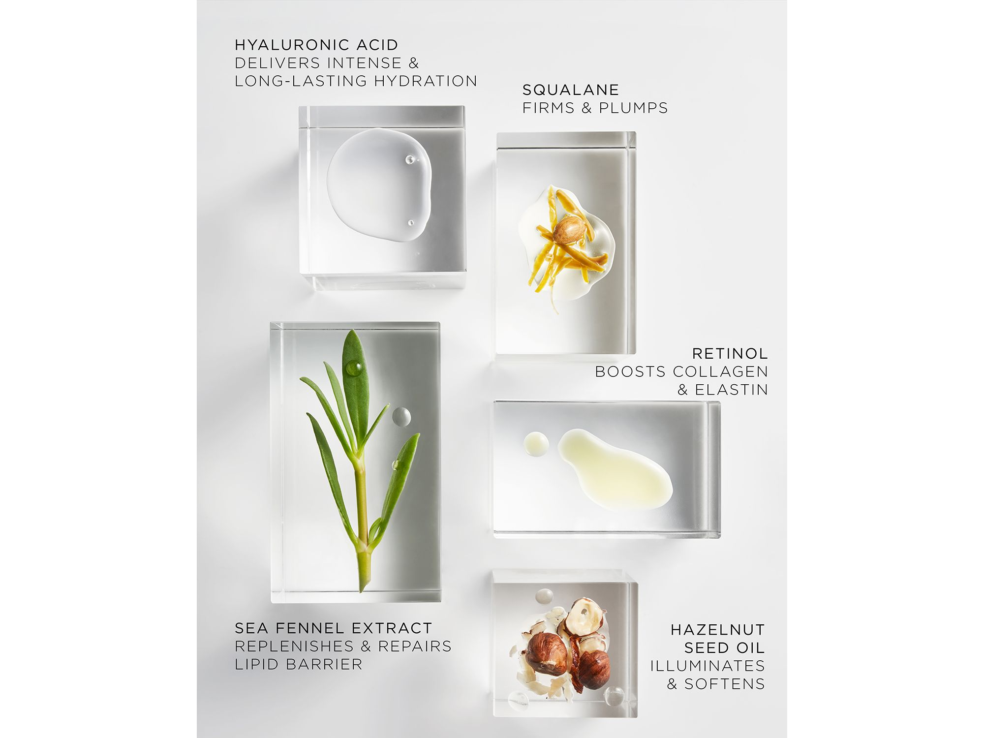 The Absolute Nourishing Lift Oil — Image 7