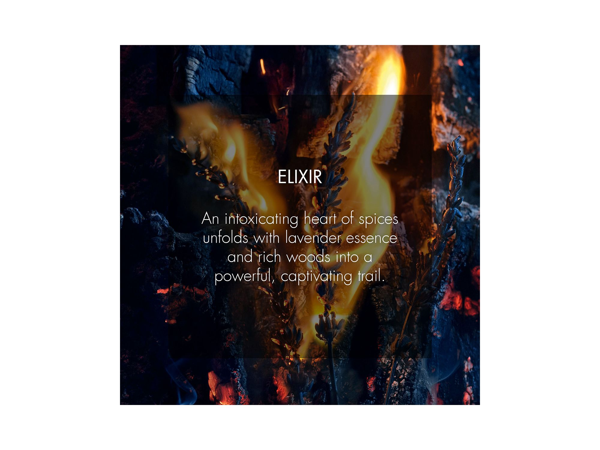 Sauvage Elixir — Image 5