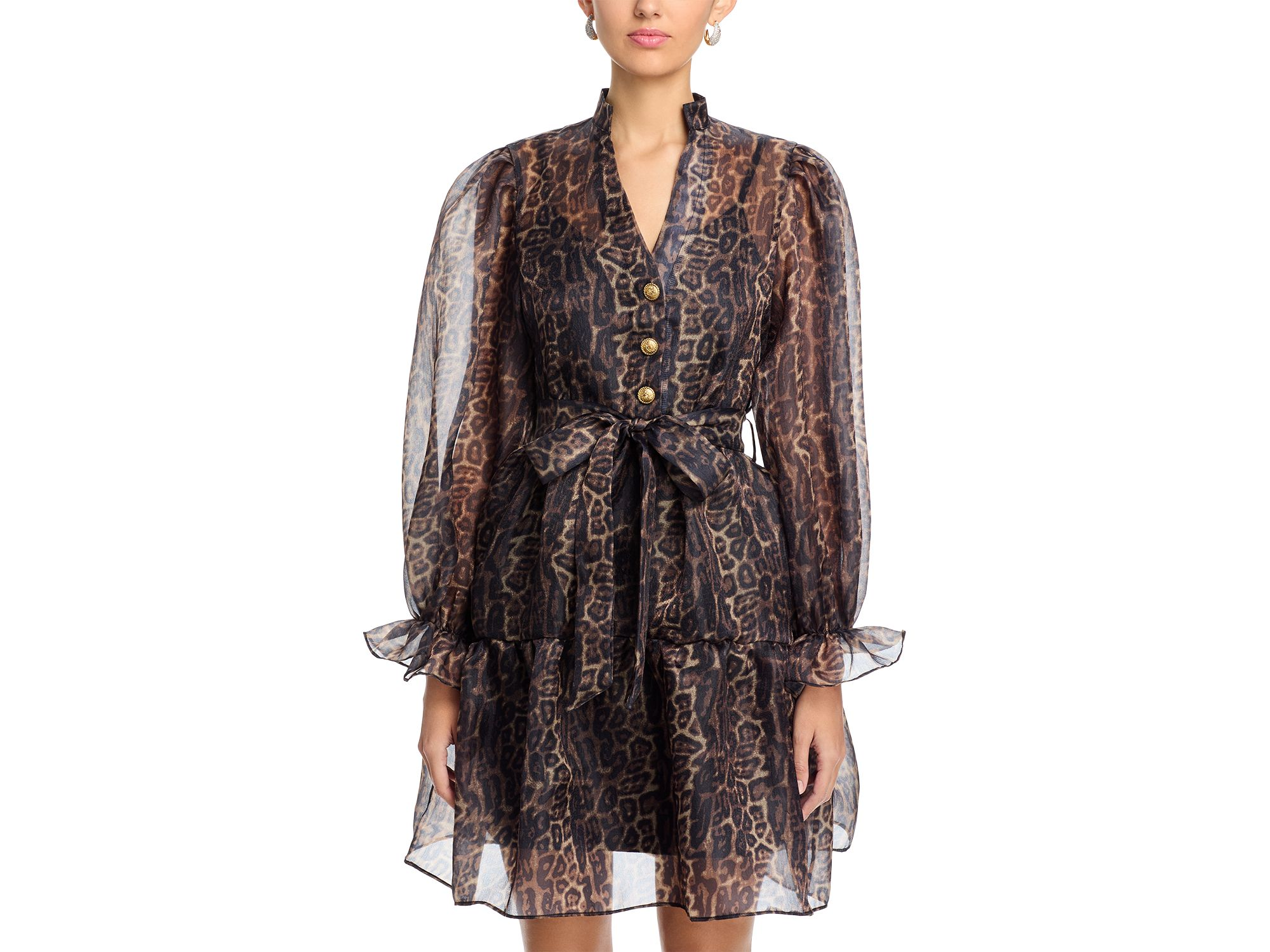 Organza Leopard V Neck Tiered Dress — Image 4