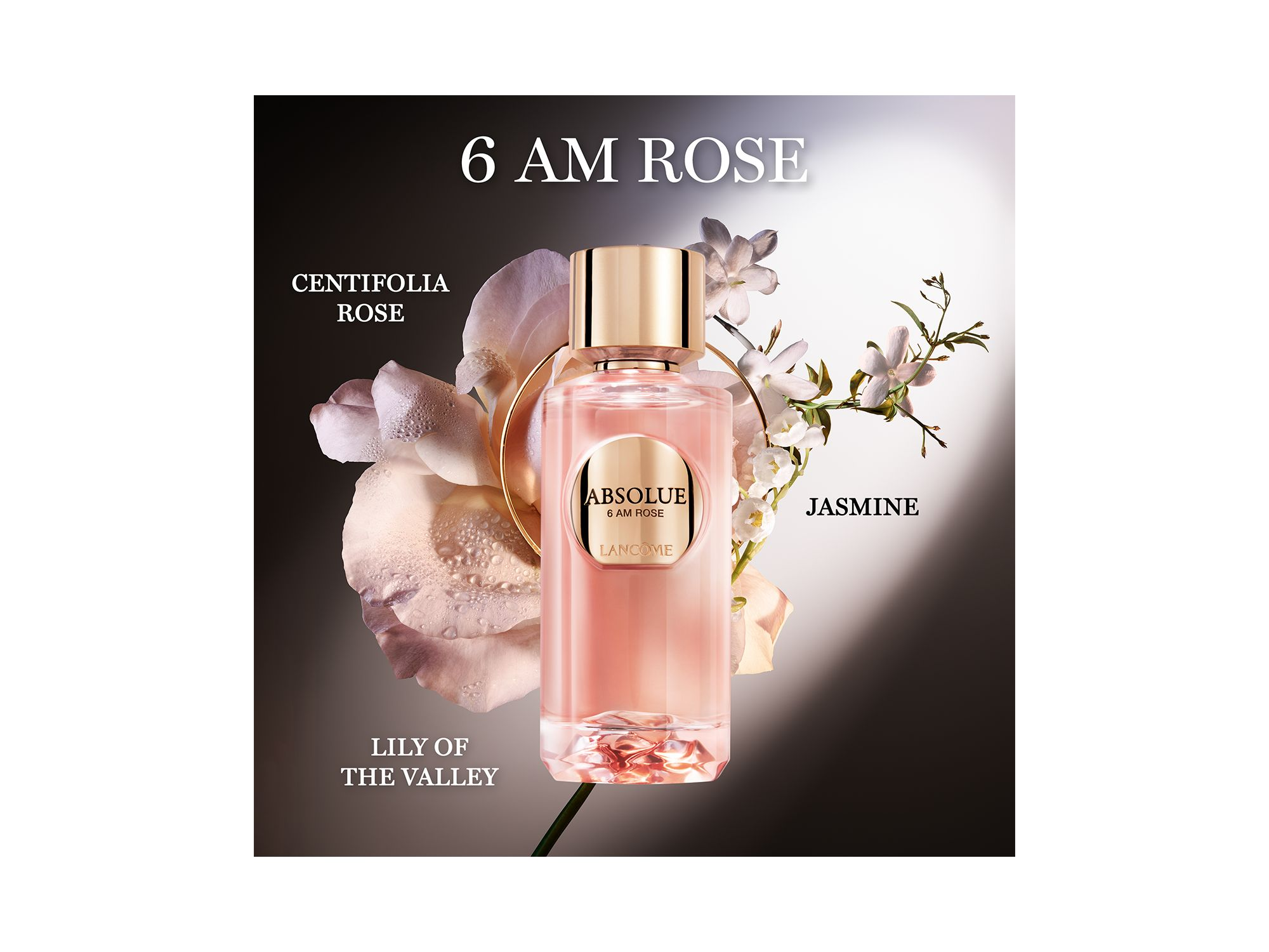 Absolue 6 AM Rose Eau de Parfum 3.4 oz. — Image 6