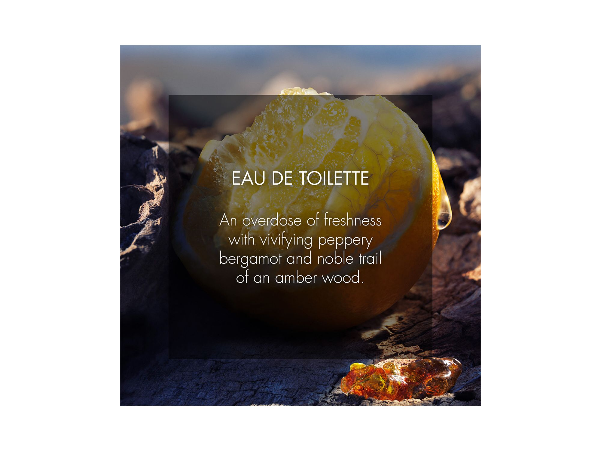 Sauvage Eau de Toilette — Image 4