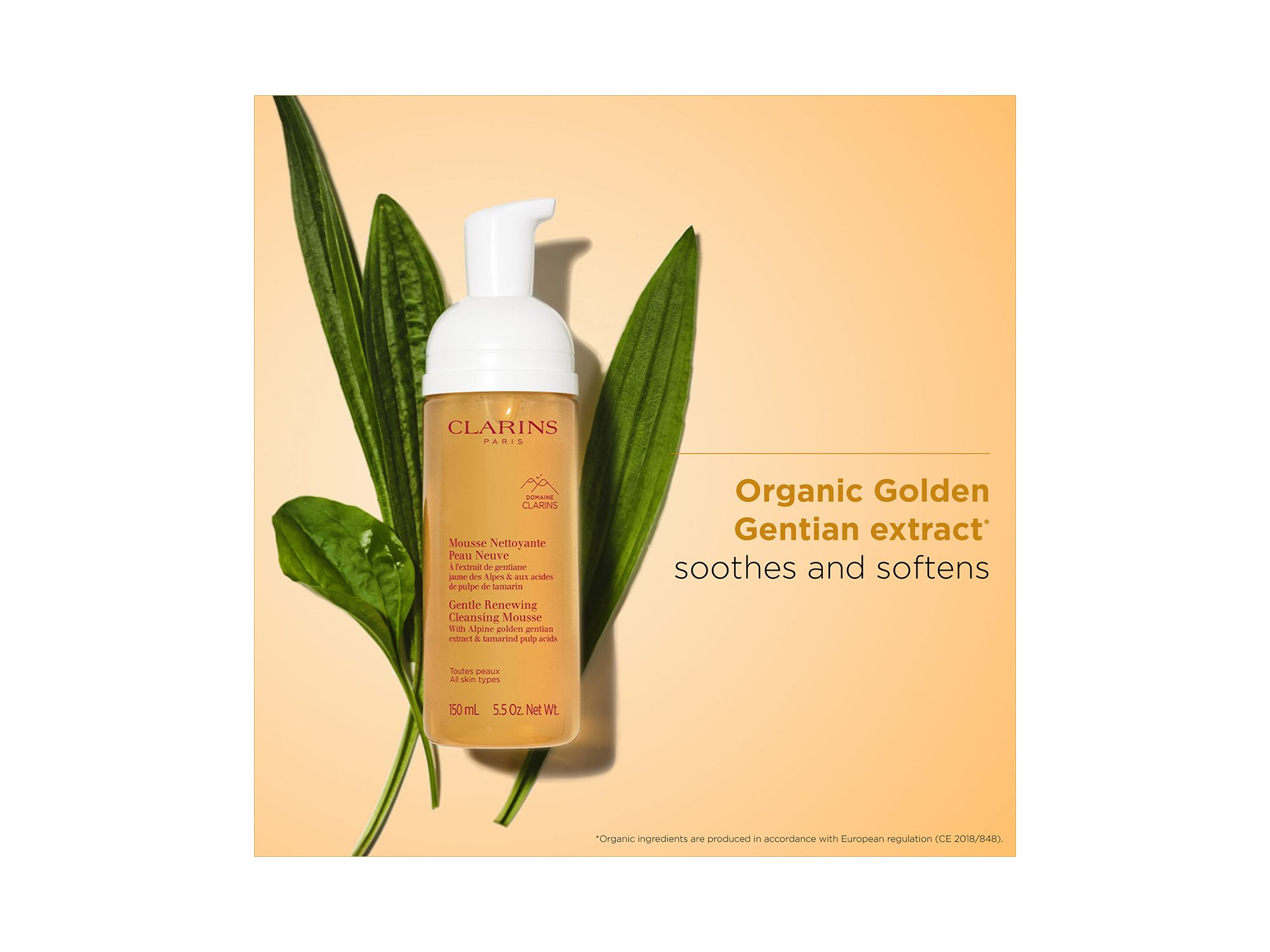 Gentle Renewing Foaming Cleansing Mousse 5.5 oz. — Image 5