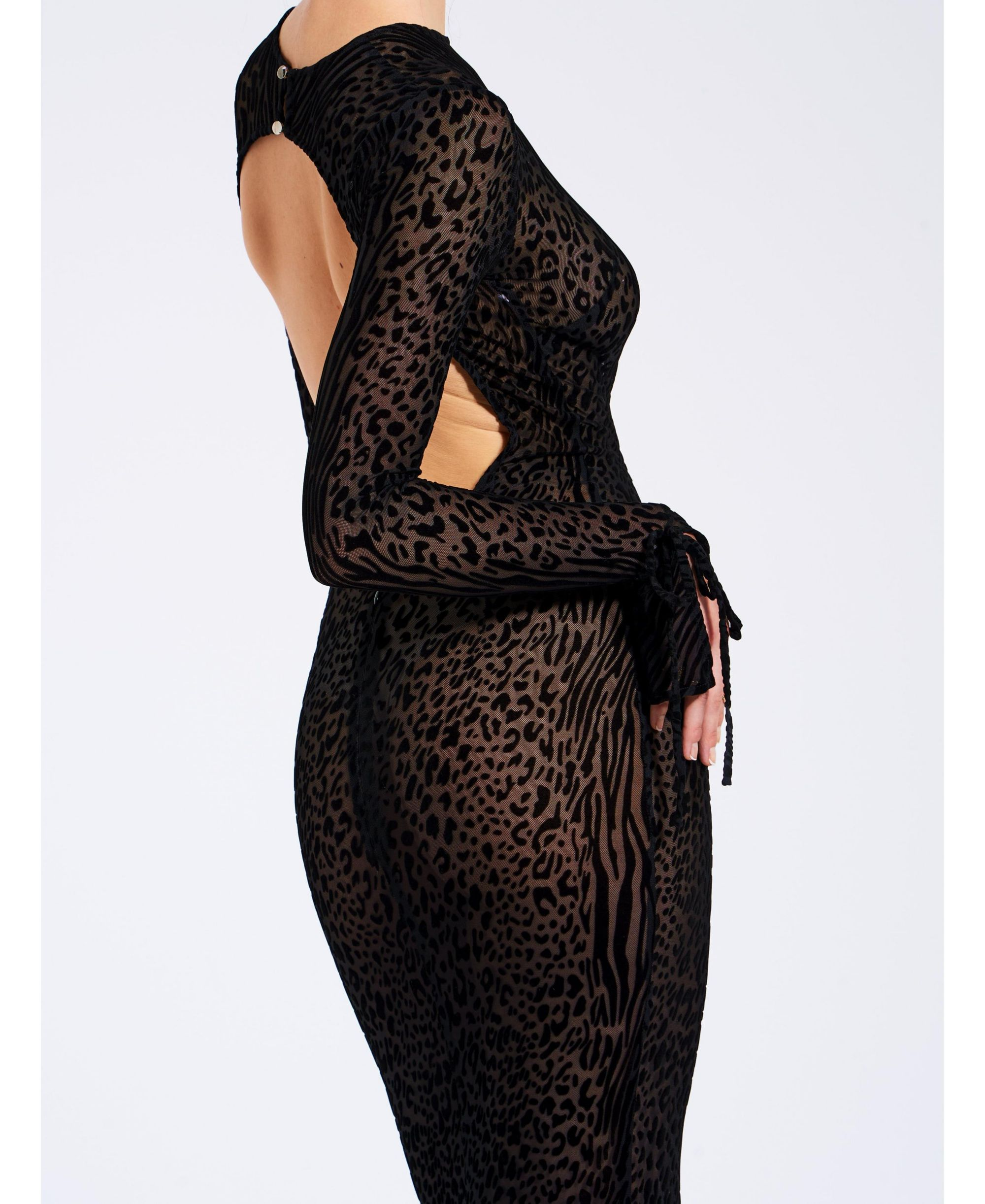 Waylynn Print Burnout Velvet Detail Mesh Maxi Dress — Image 4