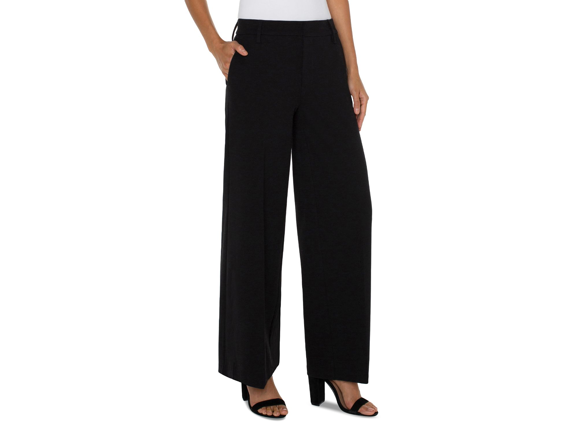 Kelsey High Rise Wide Leg Pants — Image 3
