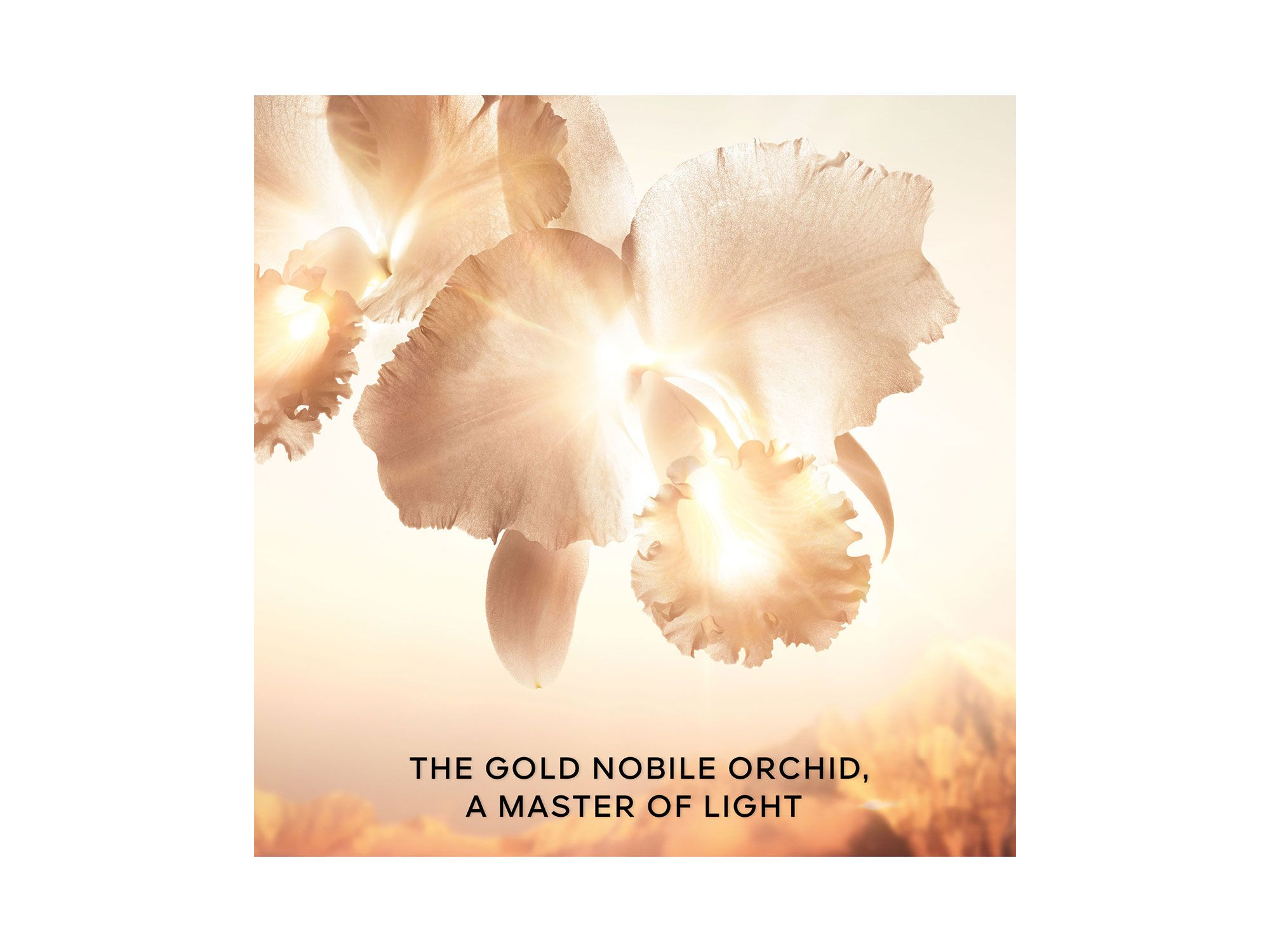 Orchidée Impériale Gold Nobile The Eye Concentrate Treatment — Image 7
