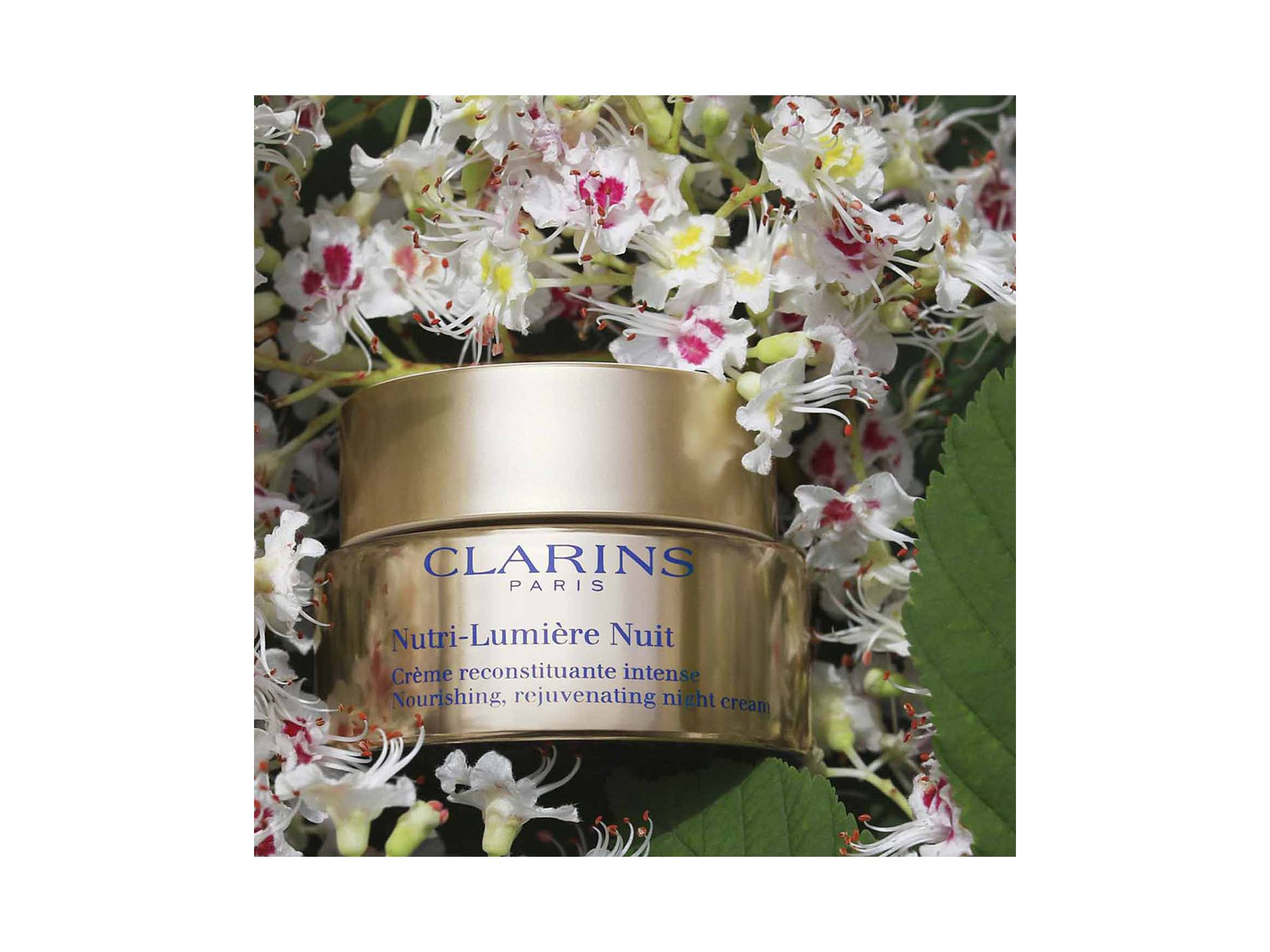Nutri-Lumiere Anti-Aging & Nourishing Night Moisturizer 1.6 oz. — Image 4