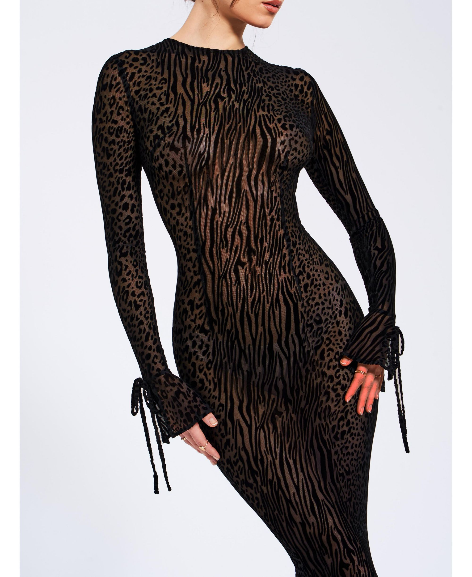 Waylynn Print Burnout Velvet Detail Mesh Maxi Dress — Image 3