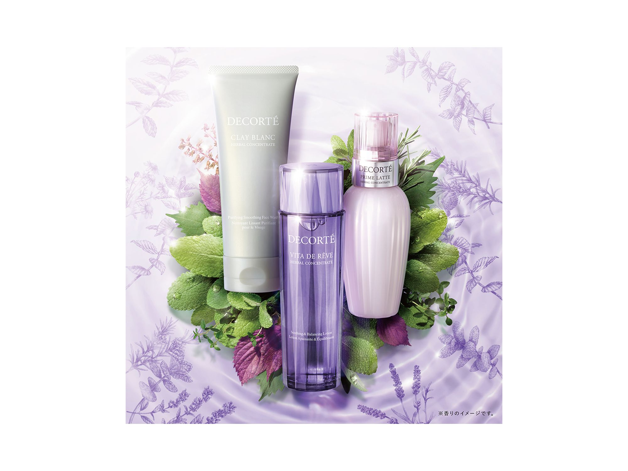 Prime Latte Herbal Concentrate — Image 3