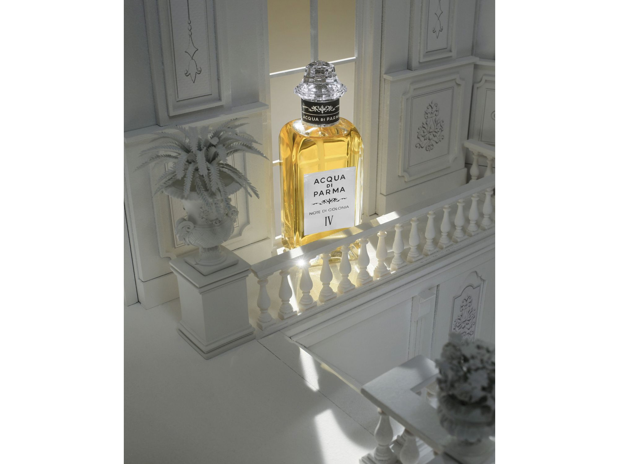 Note di Colonia IV Colonia Collection 5.1 oz. — Image 4