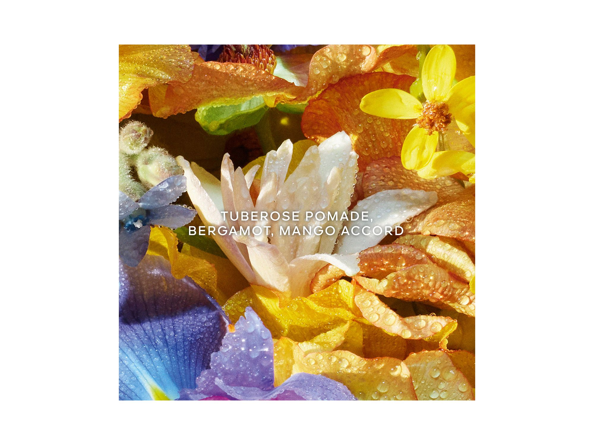 Aqua Allegoria Florabloom Eau de Toilette 4.2 oz. — Image 6