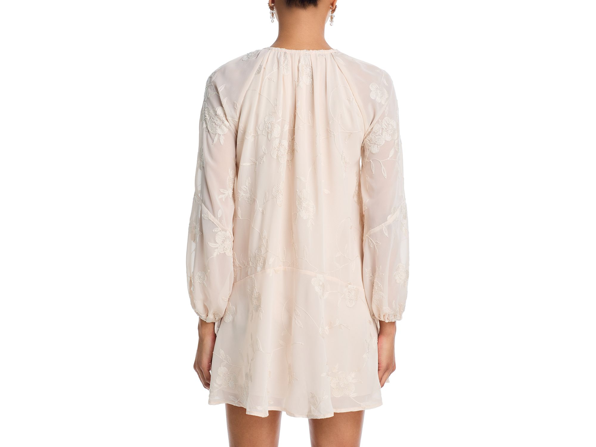 Embroidered Floral Chiffon Mini Dress - Exclusive — Image 5