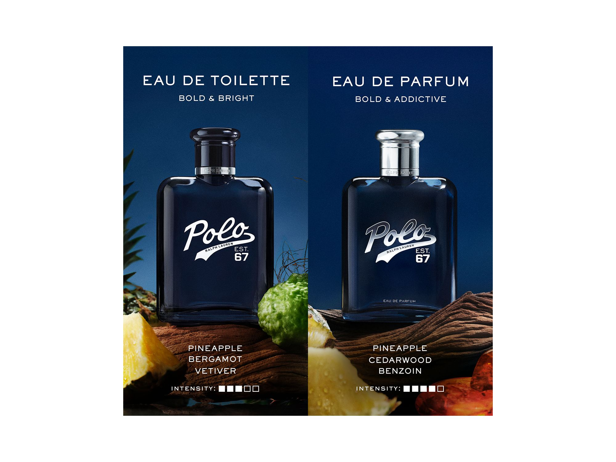 Polo 67 Eau de Parfum — Image 4