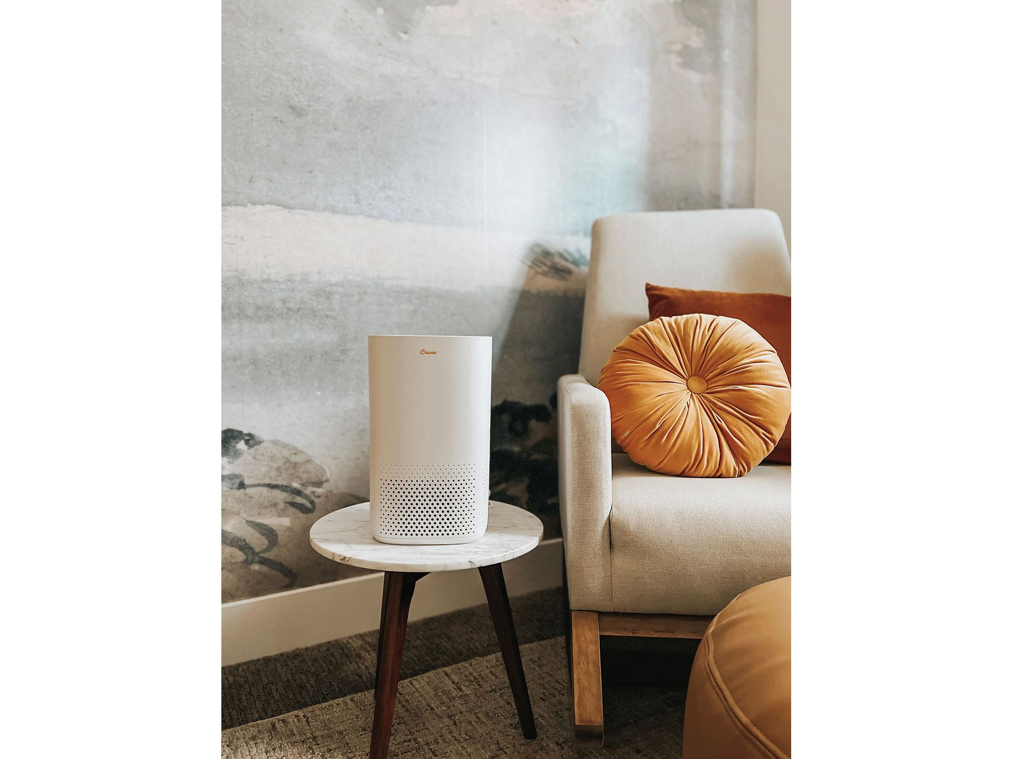 Crane Air Purifier with True HEPA Filter, UV Light, 250 Sq Feet Coverage, Timer Function, Sleep Mode, Washable Particle Filter, EE-5067 — Image 4