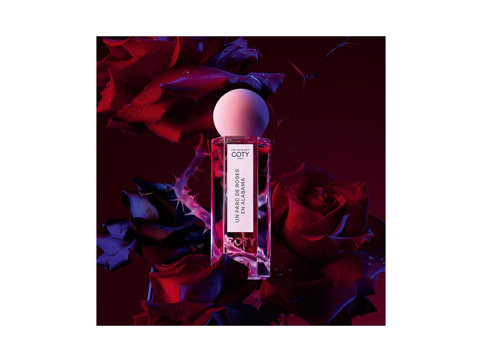 UN PARC DE ROSES EN ALABAMA Parfum — Image 3