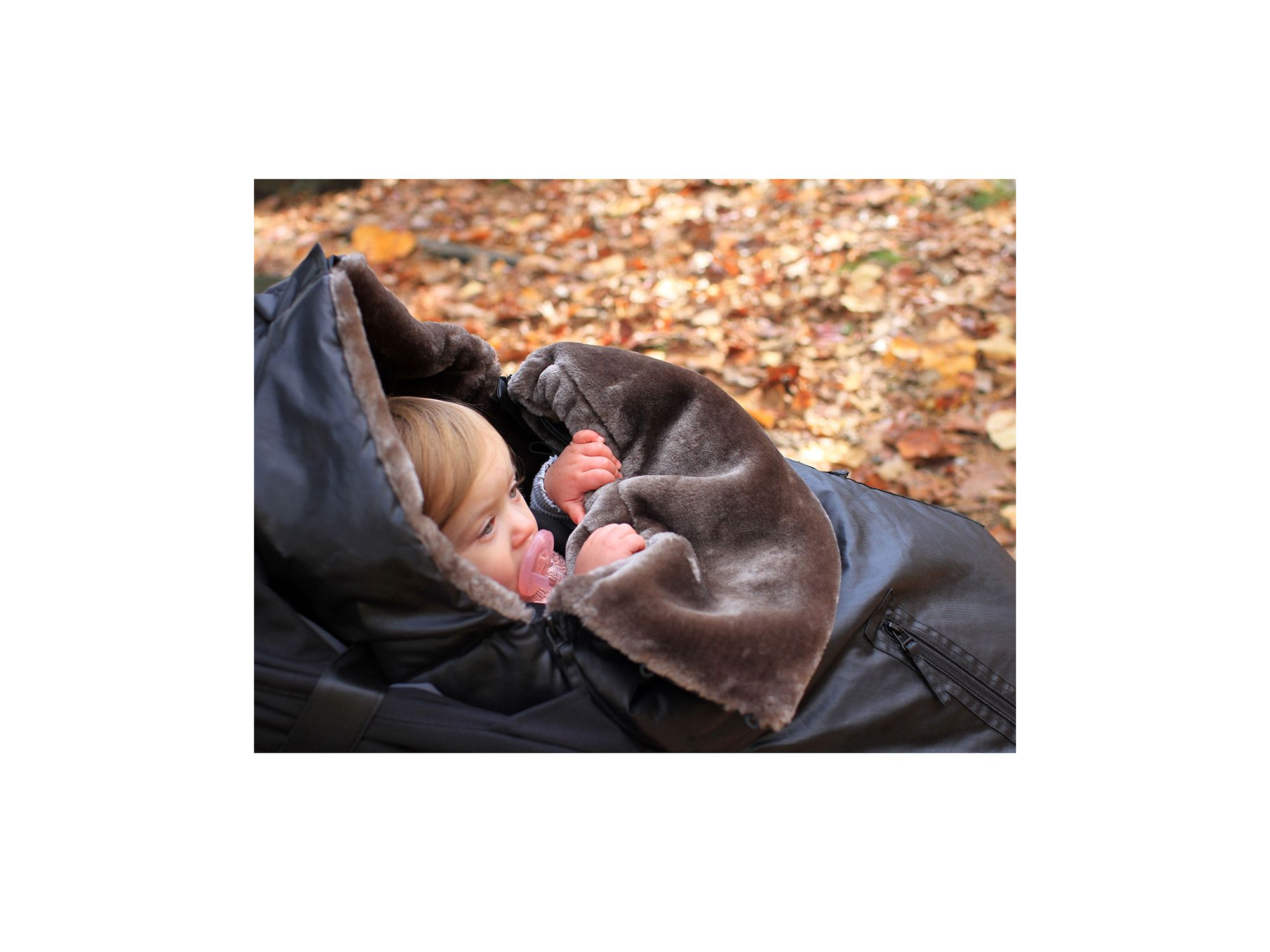 WaxedPOD — Image 6