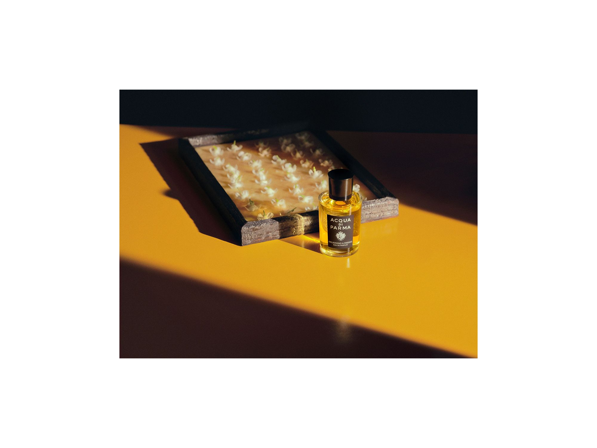 Gelsomino a Freddo Eau de Parfum — Image 8