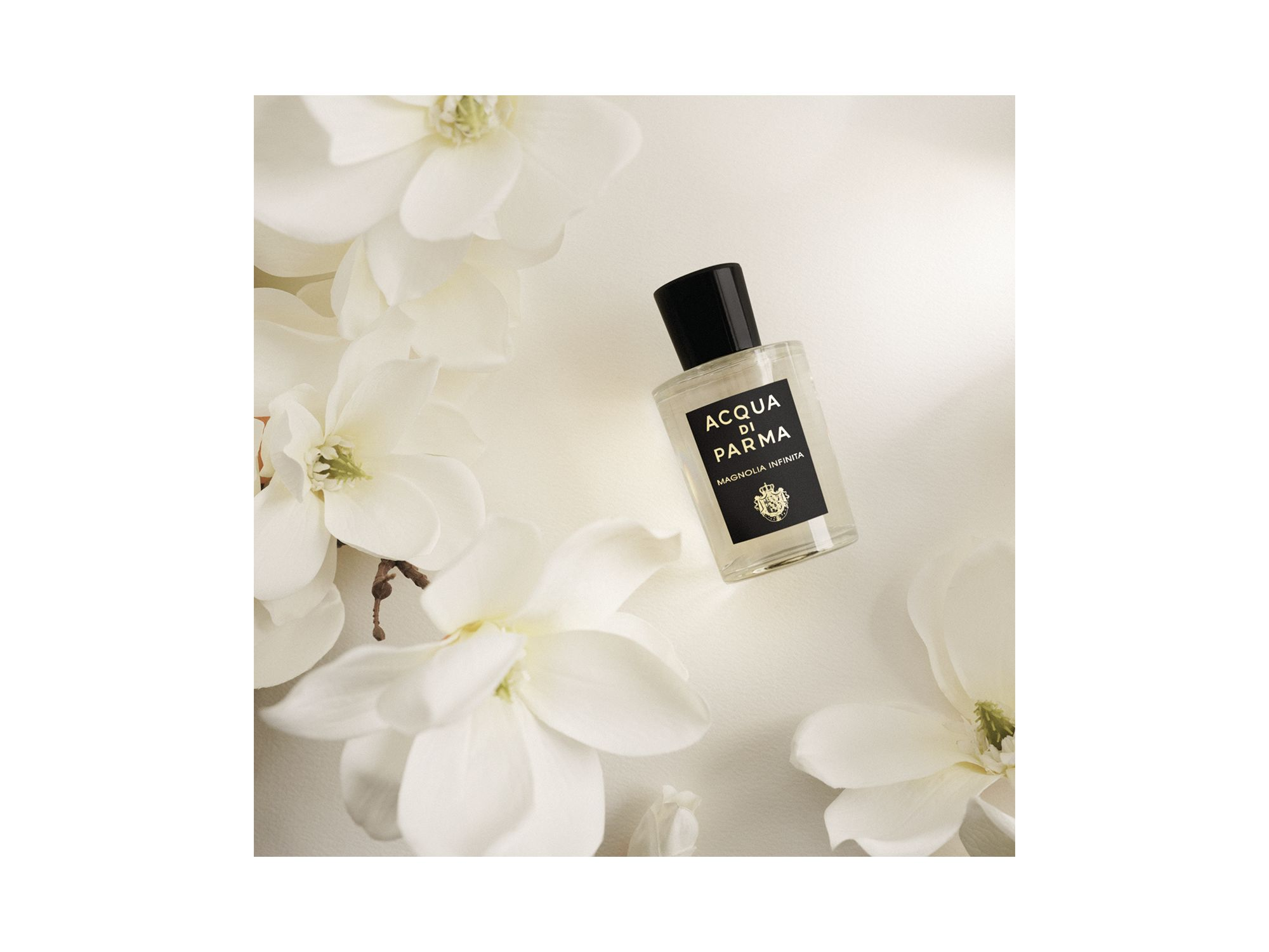 Signatures of the Sun Magnolia Infinita Eau de Parfum 6 oz. — Image 4