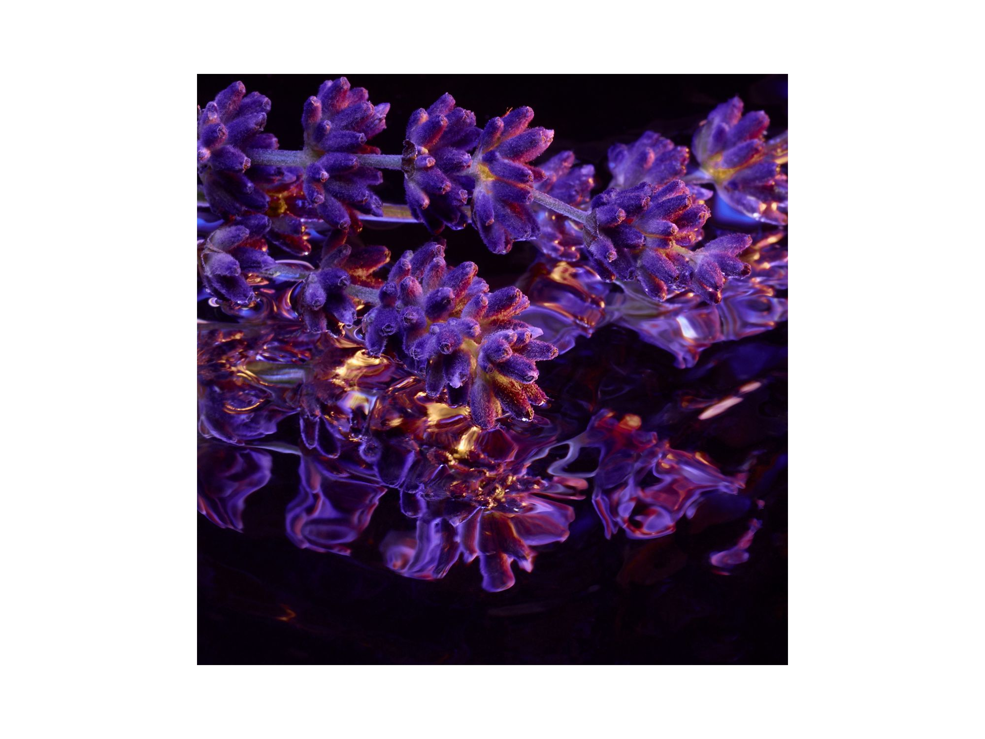 L'AMOUR POURPRE Parfum — Image 4
