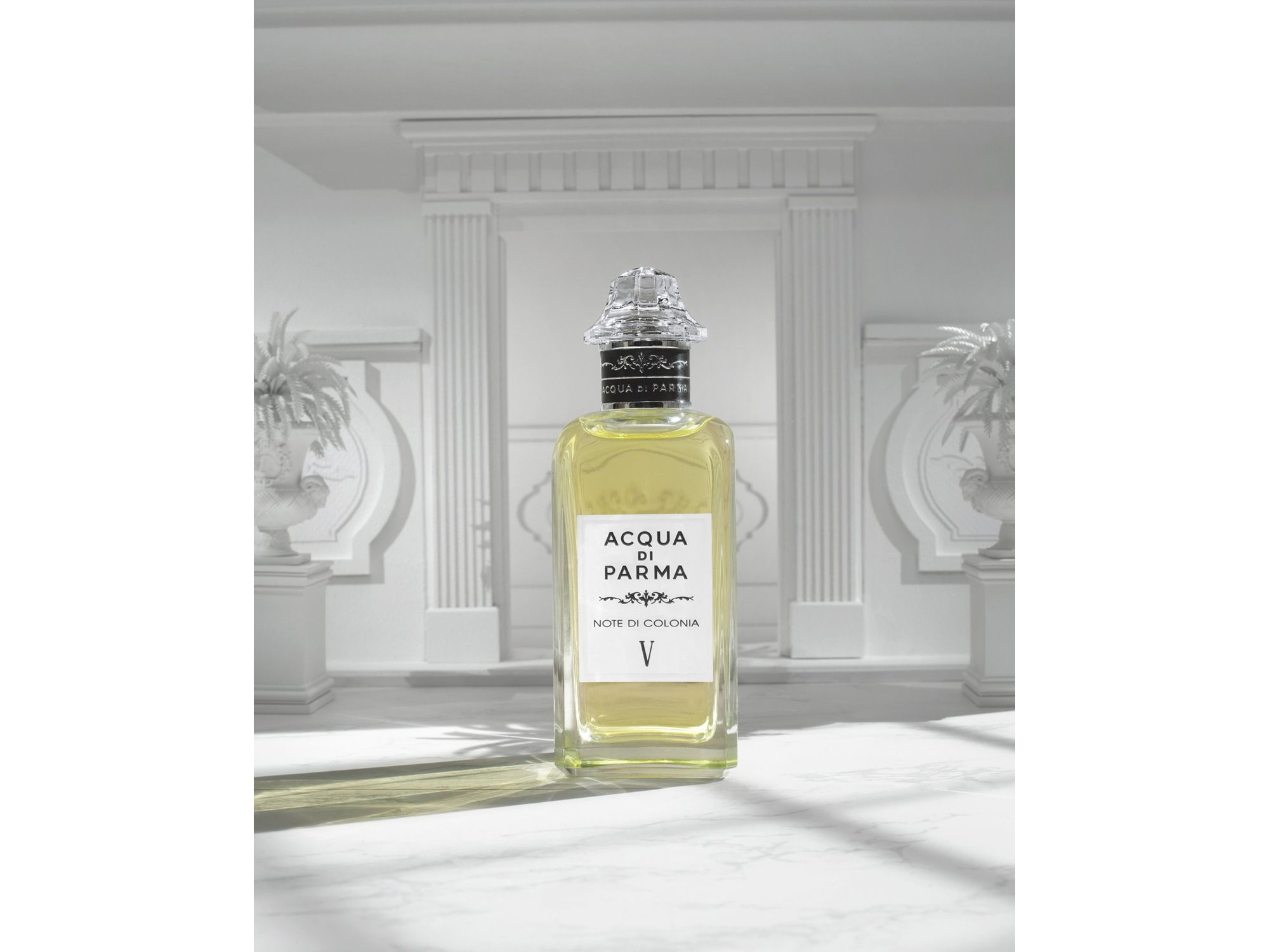 Note di Colonia V Colonia Collection 5.1 oz. — Image 3