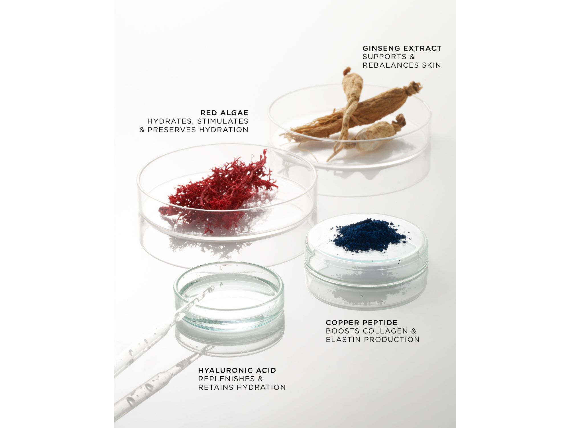 The Elemental Hydrating Preparation Essence — Image 4