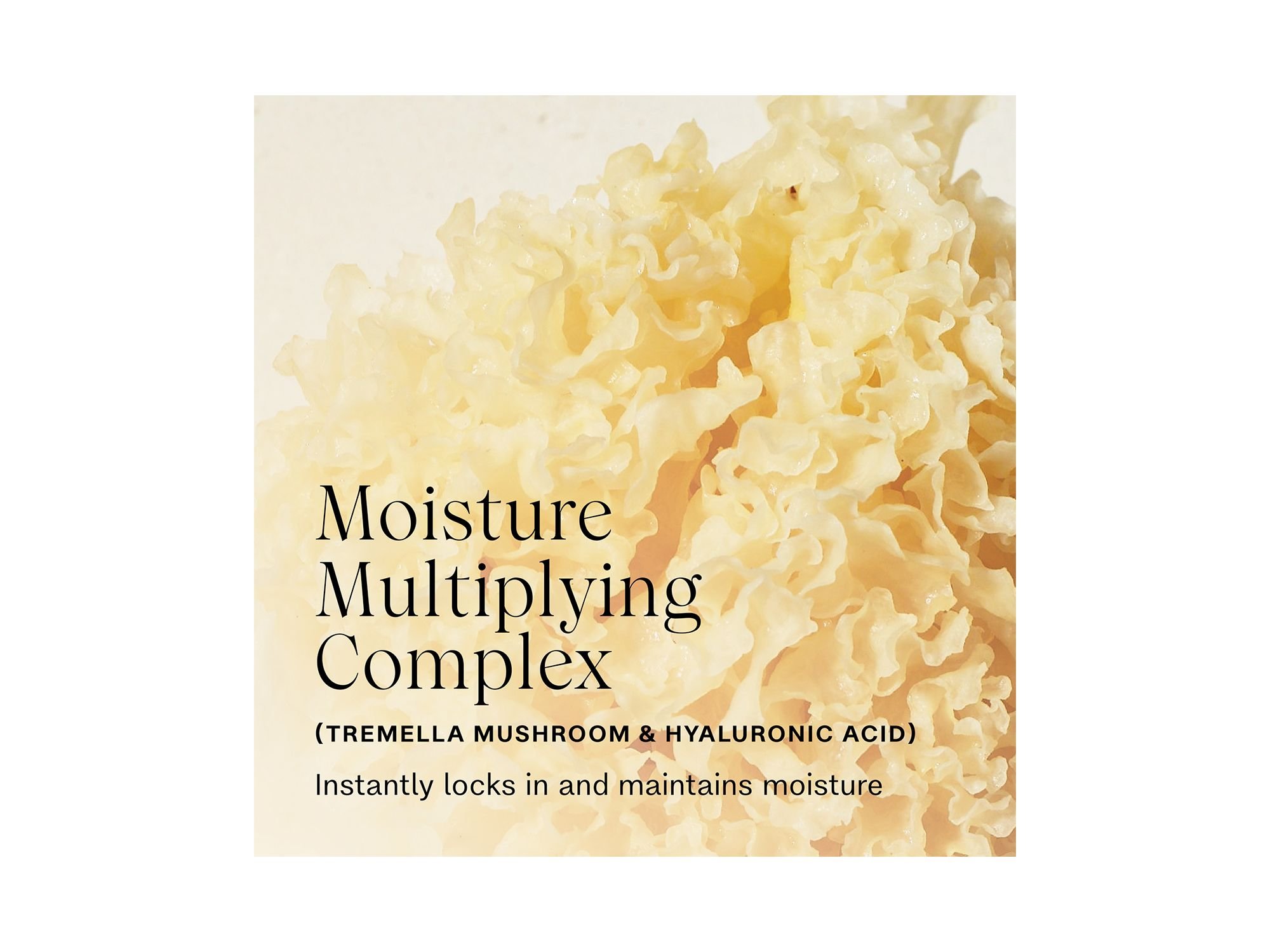 Complete Conditioning Mist — Image 9
