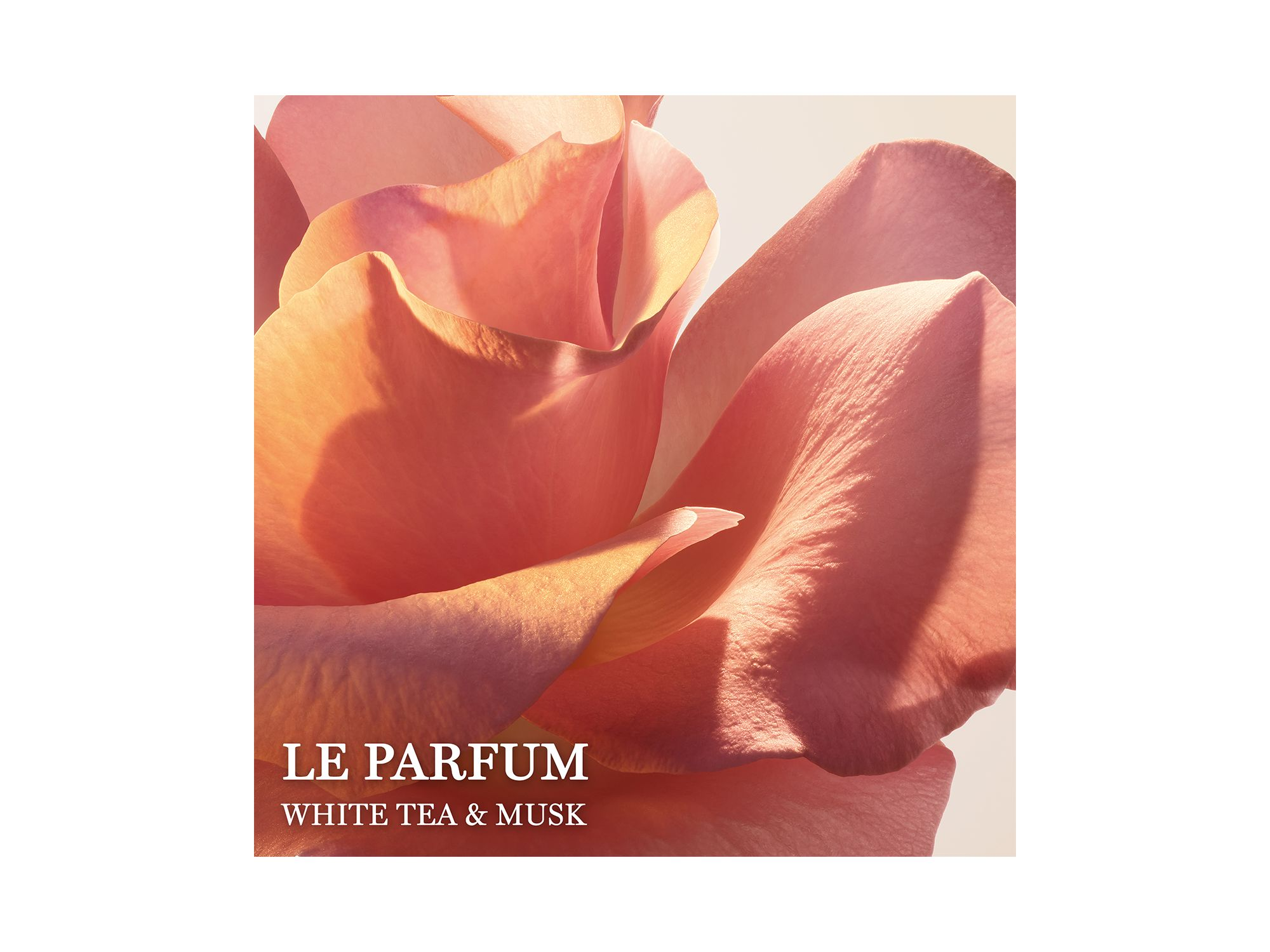 Absolue Le Parfum Eau de Parfum 3.4 oz. — Image 3