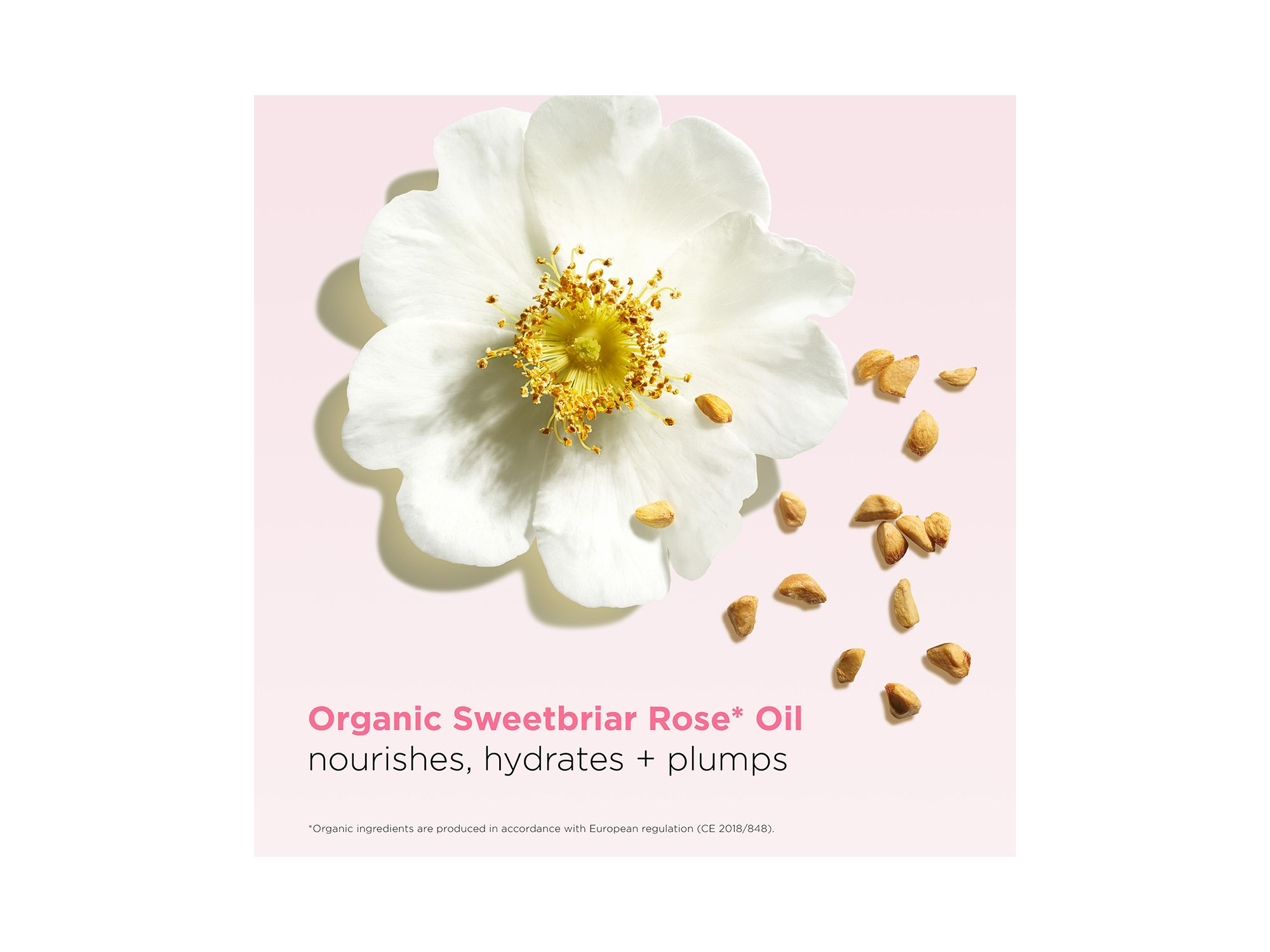Hydrating Peptide & Plumping Lip Oil Balm — Image 4