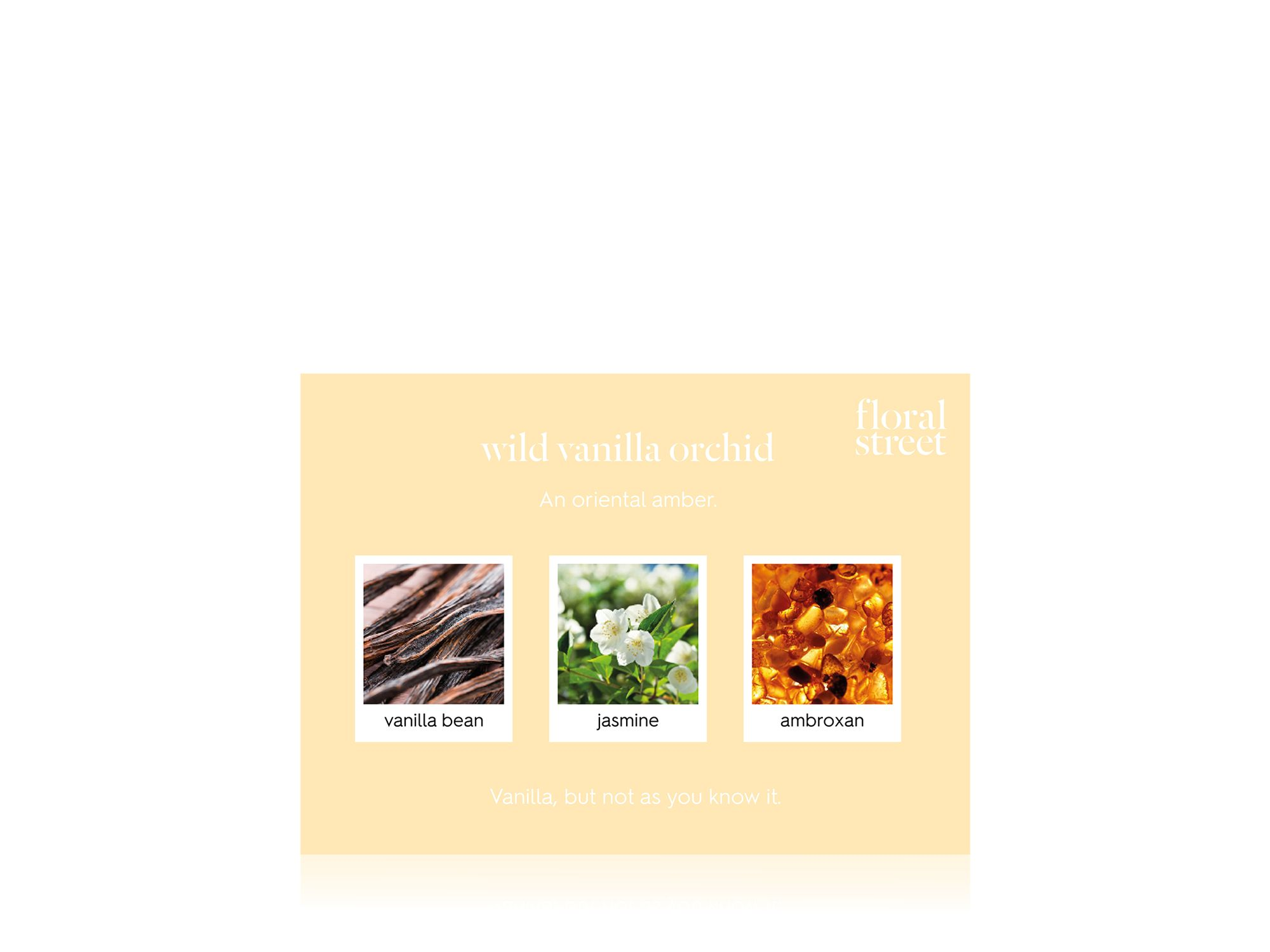 Wild Vanilla Orchid Eau de Parfum — Image 7