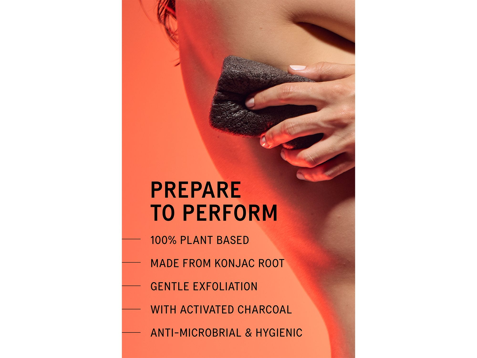 The Konjac Sponge — Image 4