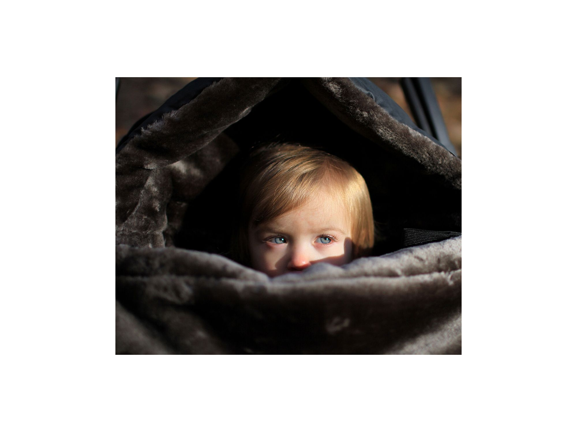 WaxedPOD — Image 8