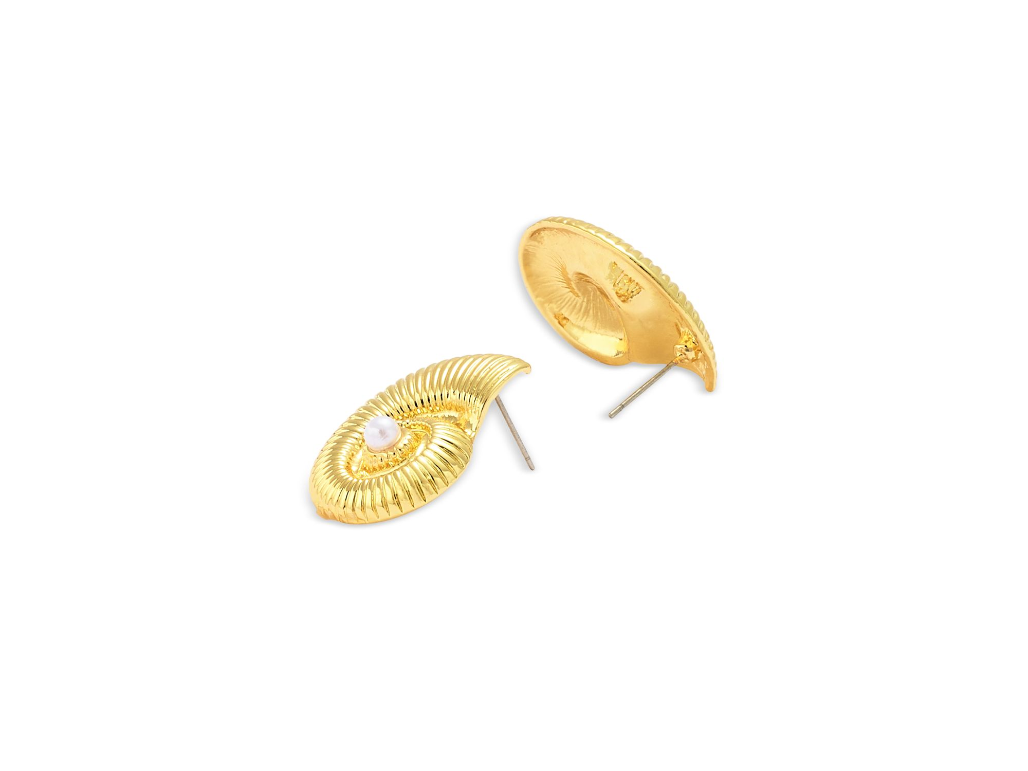 Shell Earrings - Exclusive — Image 3