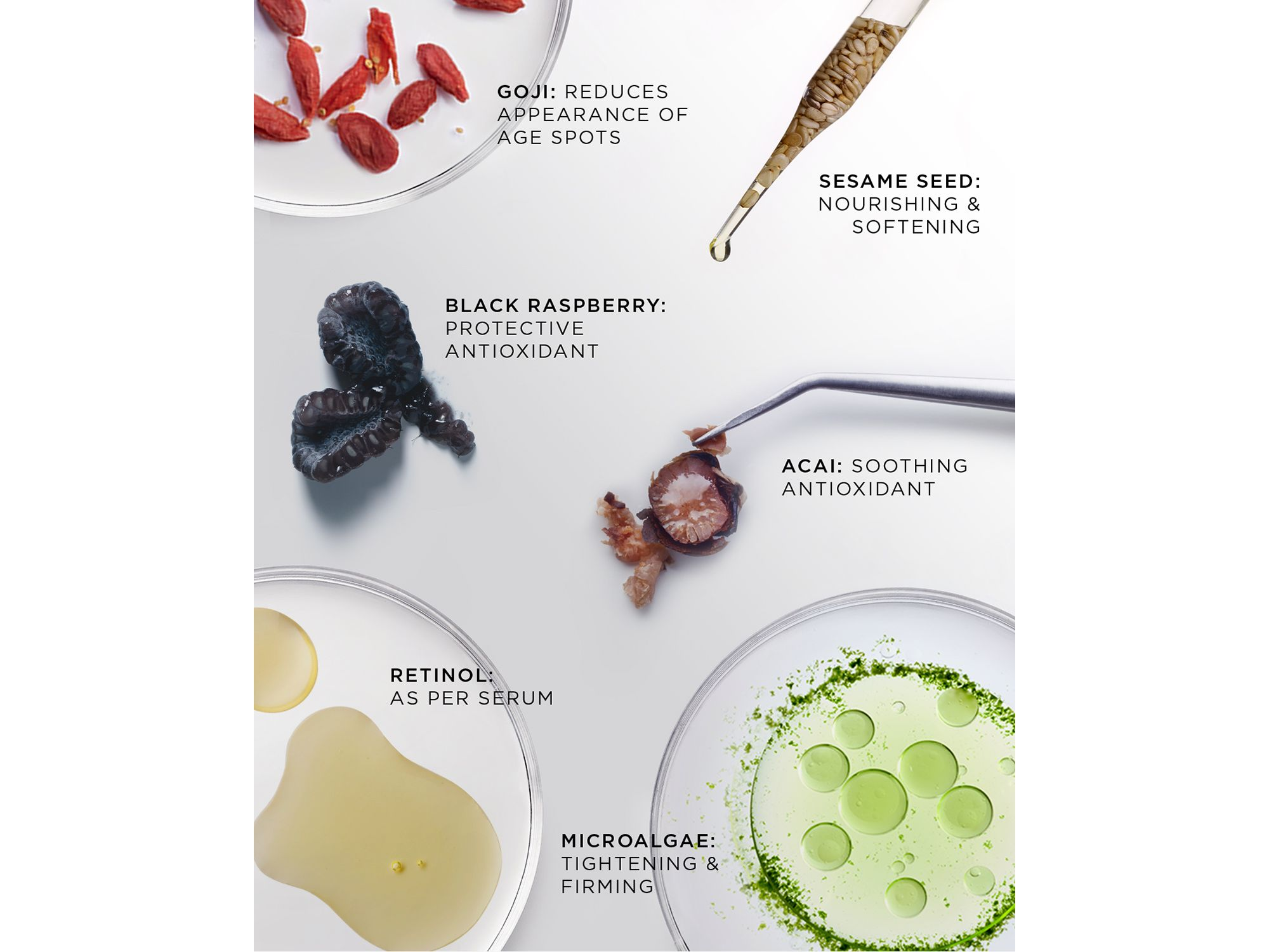 The Absolute Active Replenishing Moisturizer — Image 4