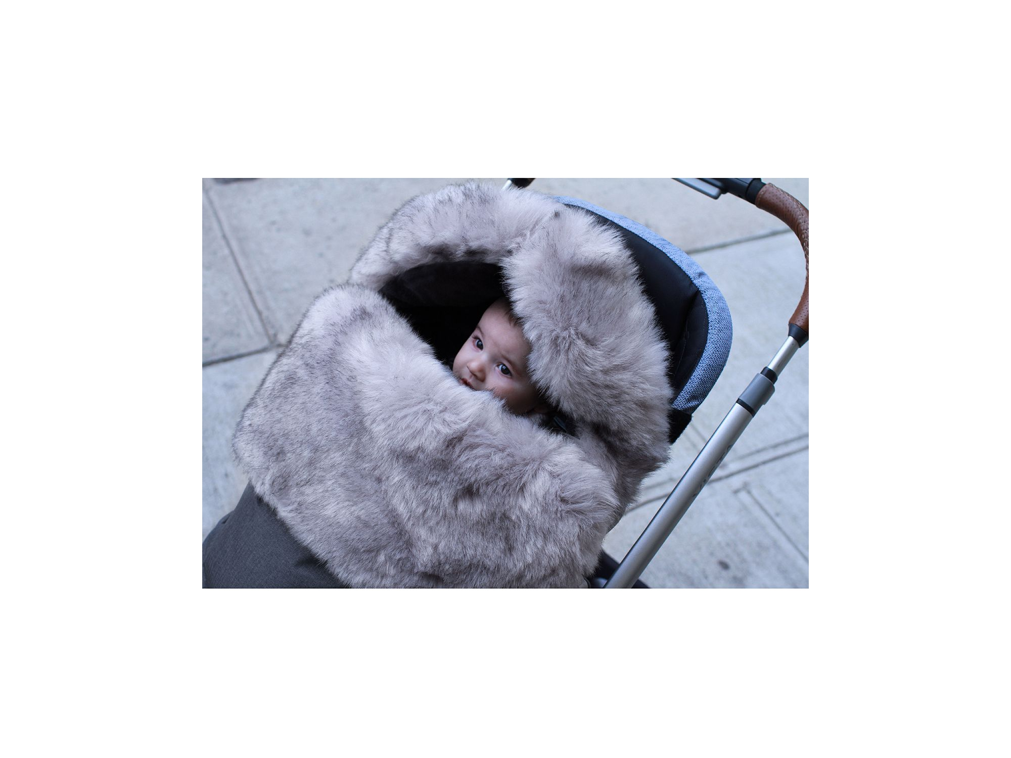 TundraPOD — Image 8