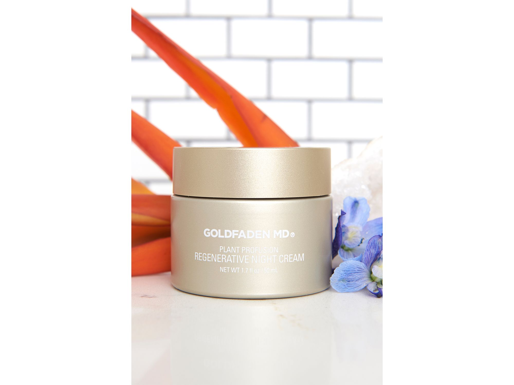 Plant Profusion Regenerative Night Cream — Image 5