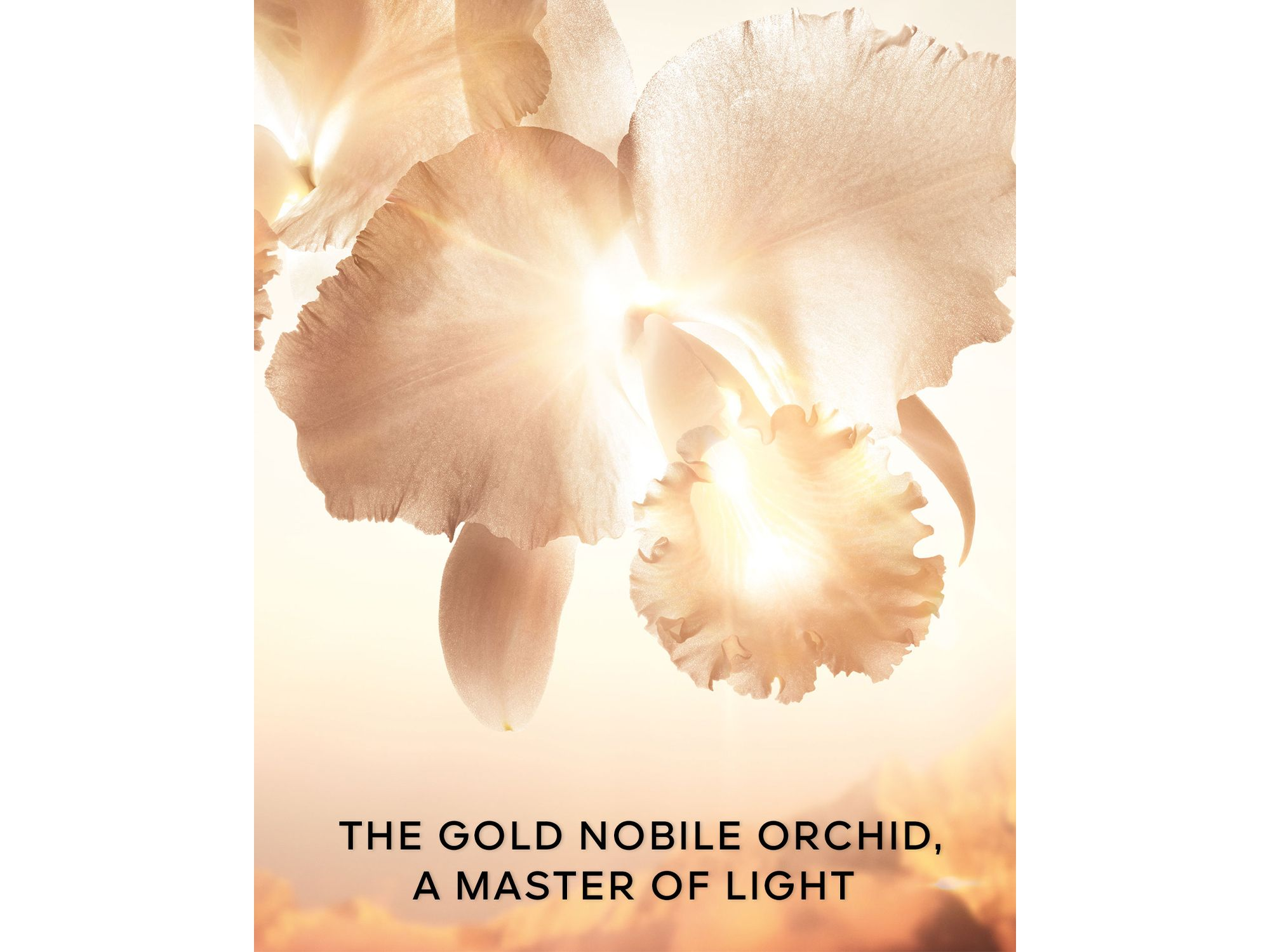 Orchidée Impériale Gold Nobile The Serum — Image 6