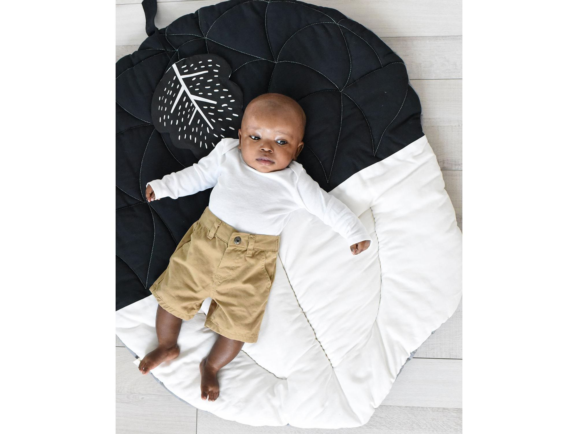 Little Acorn Bundle — Image 3