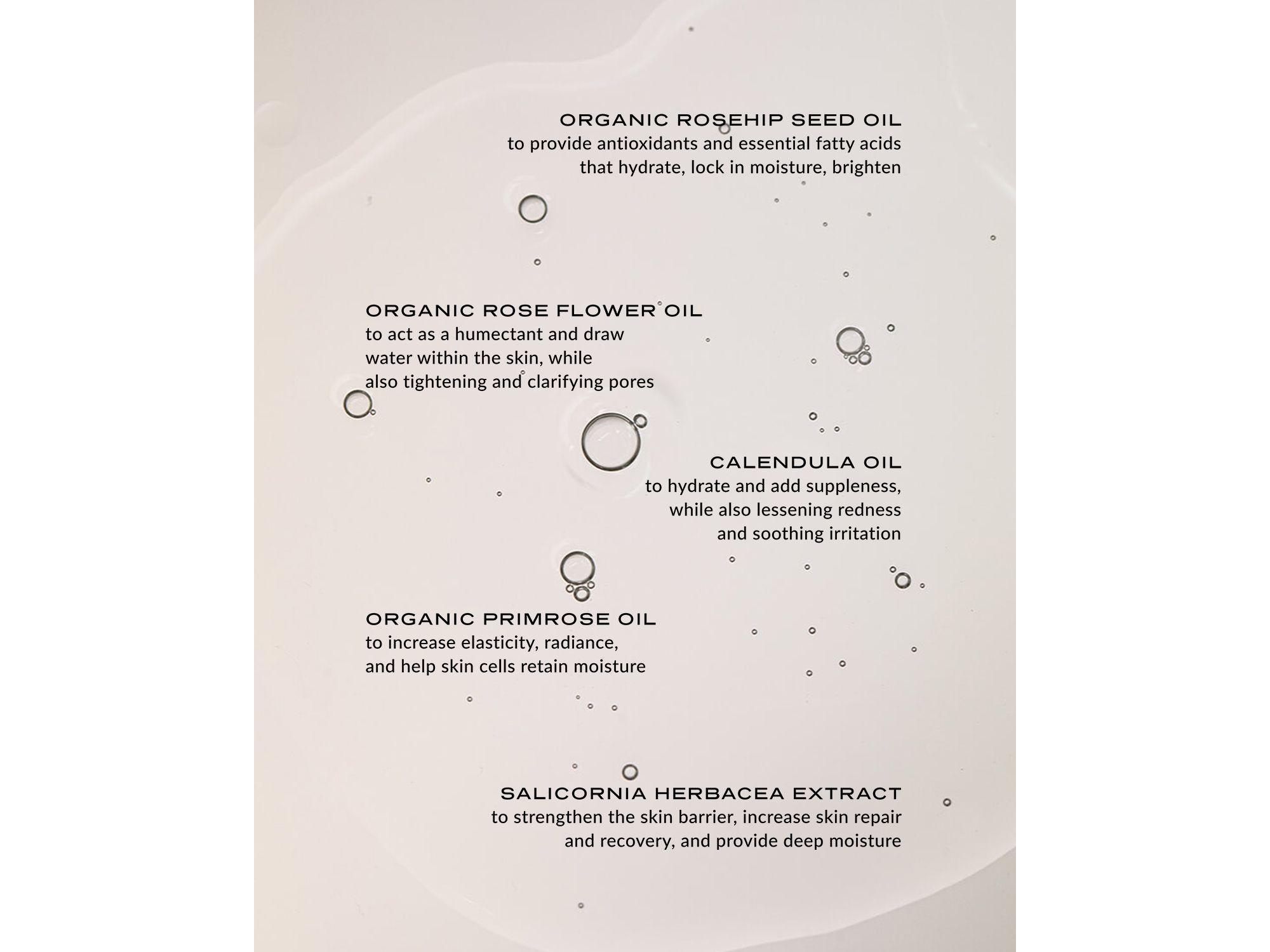 Double Rose Luminizer — Image 5