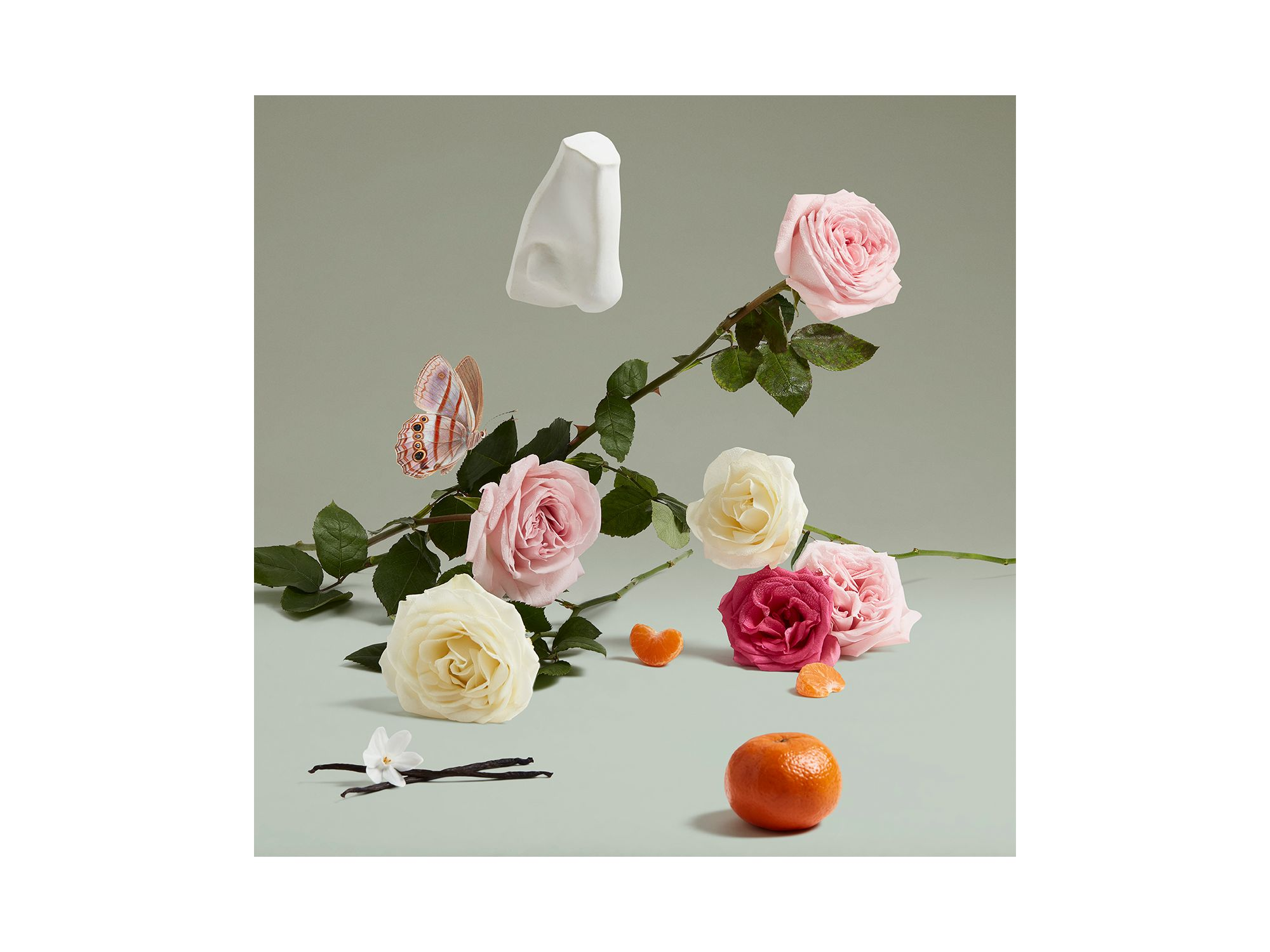 The Coveted Duchess Rose Eau de Parfum 2.5 oz. — Image 3