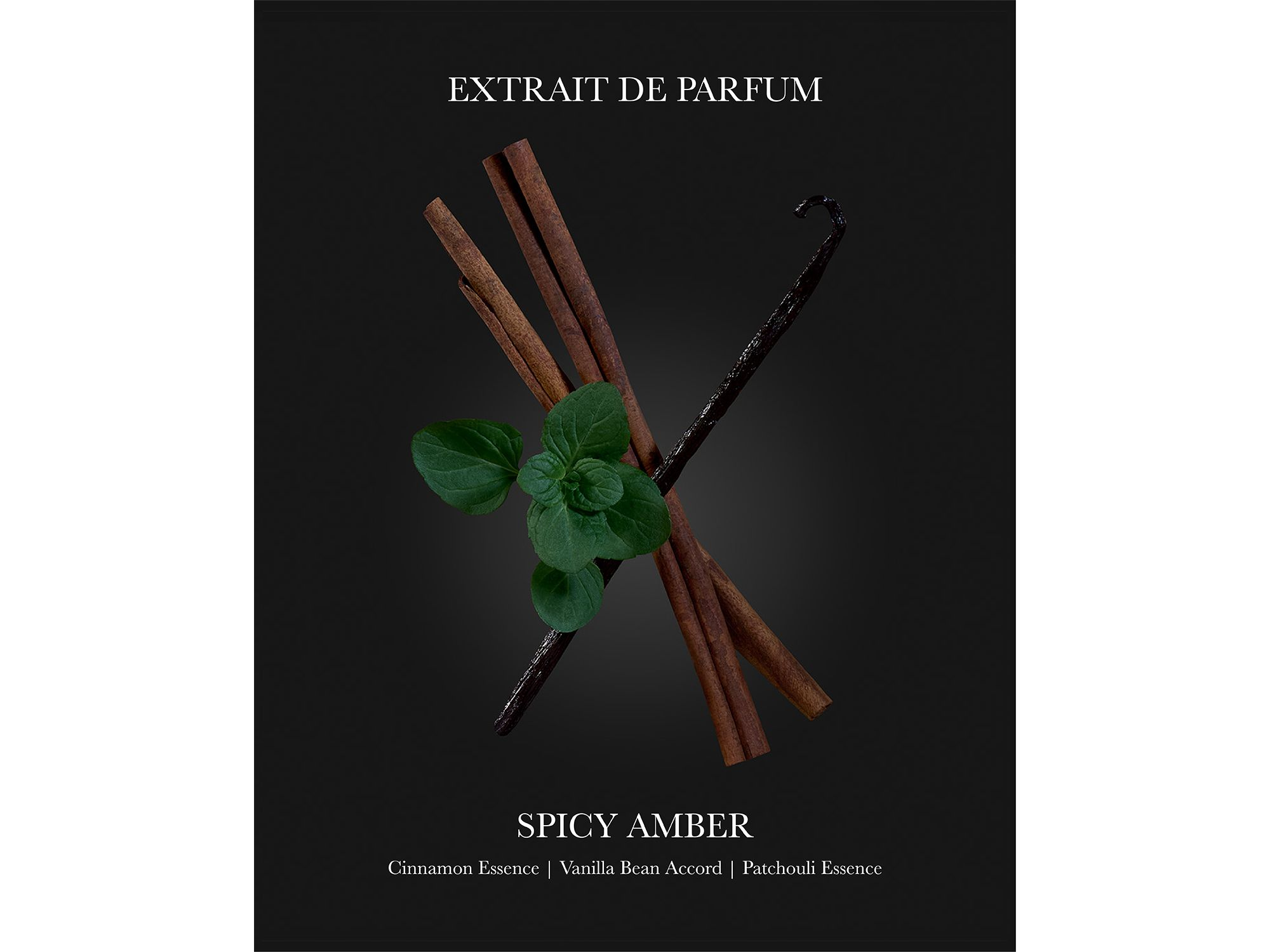 Eragon Extrait de Parfum 3.38 oz. — Image 6