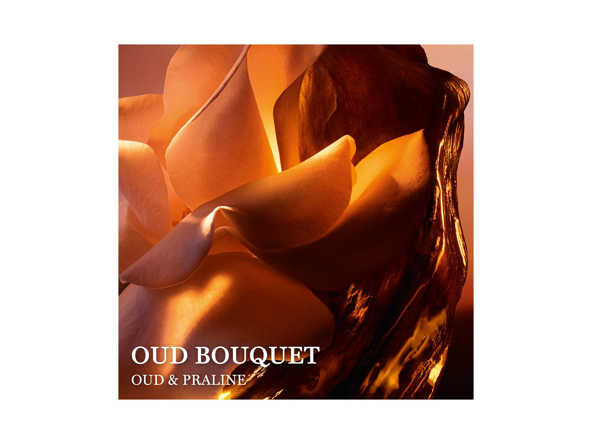 Absolue Oud Bouquet Eau de Parfum 3.4 oz. — Image 3