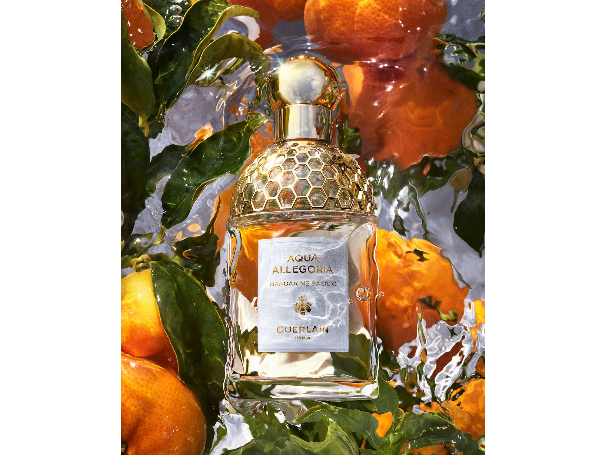 Aqua Allegoria Mandarine Basilic Eau de Toilette 4.2 oz. — Image 3