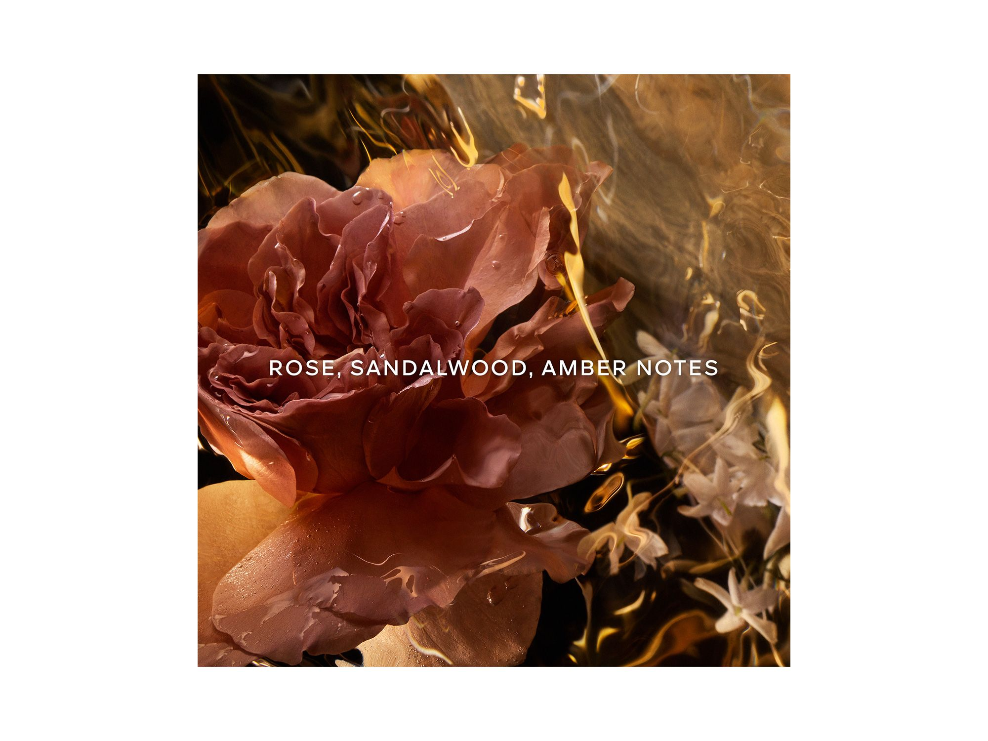 Absolus Allegoria Santal Royal Eau de Parfum 4.2 oz. — Image 3