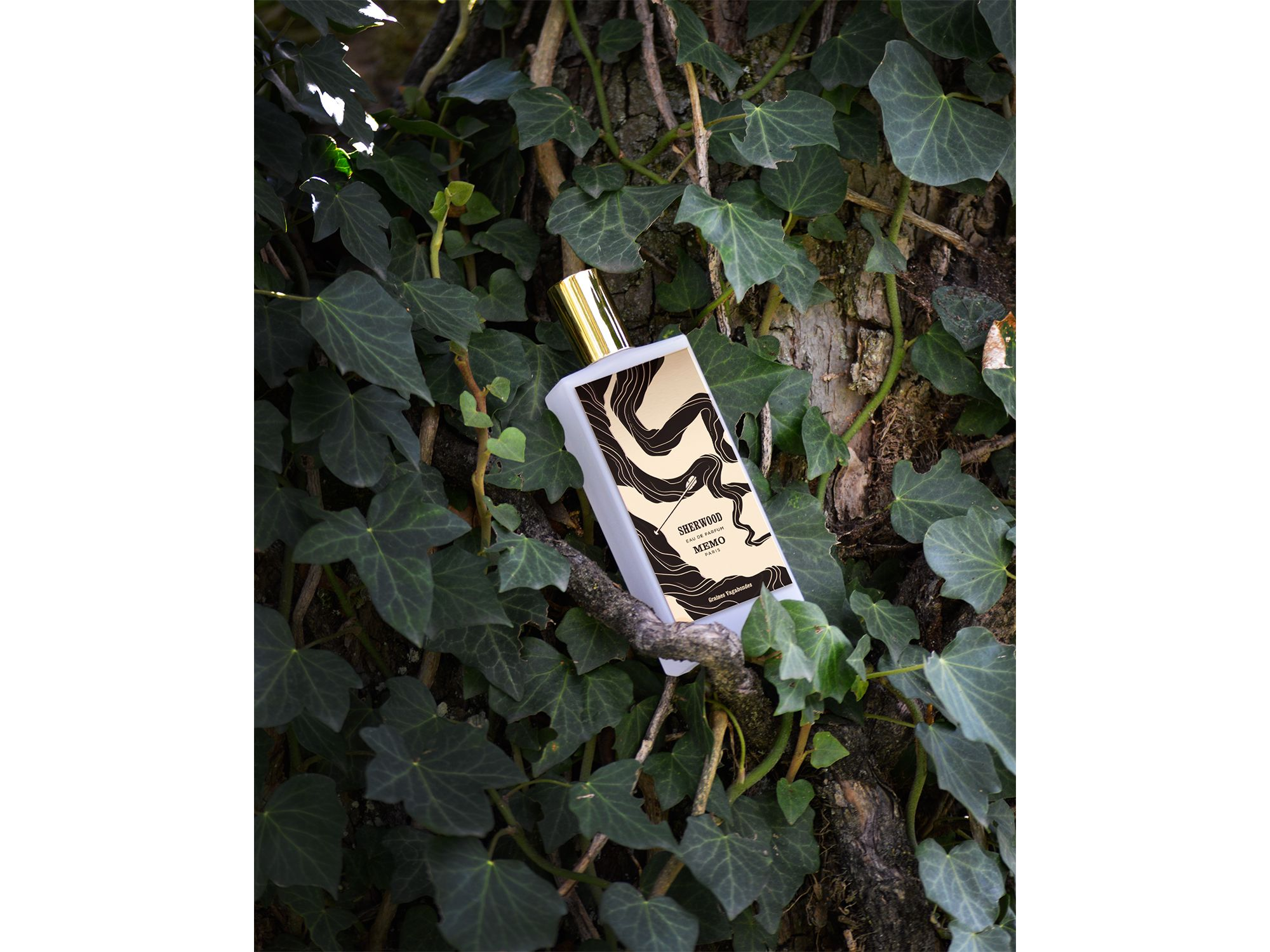 Sherwood Eau de Parfum 2.5 oz. — Image 5